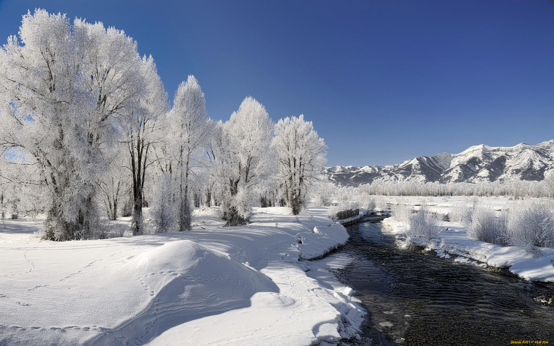природа, зима, горы, снег, река, следы, кусты, деревья