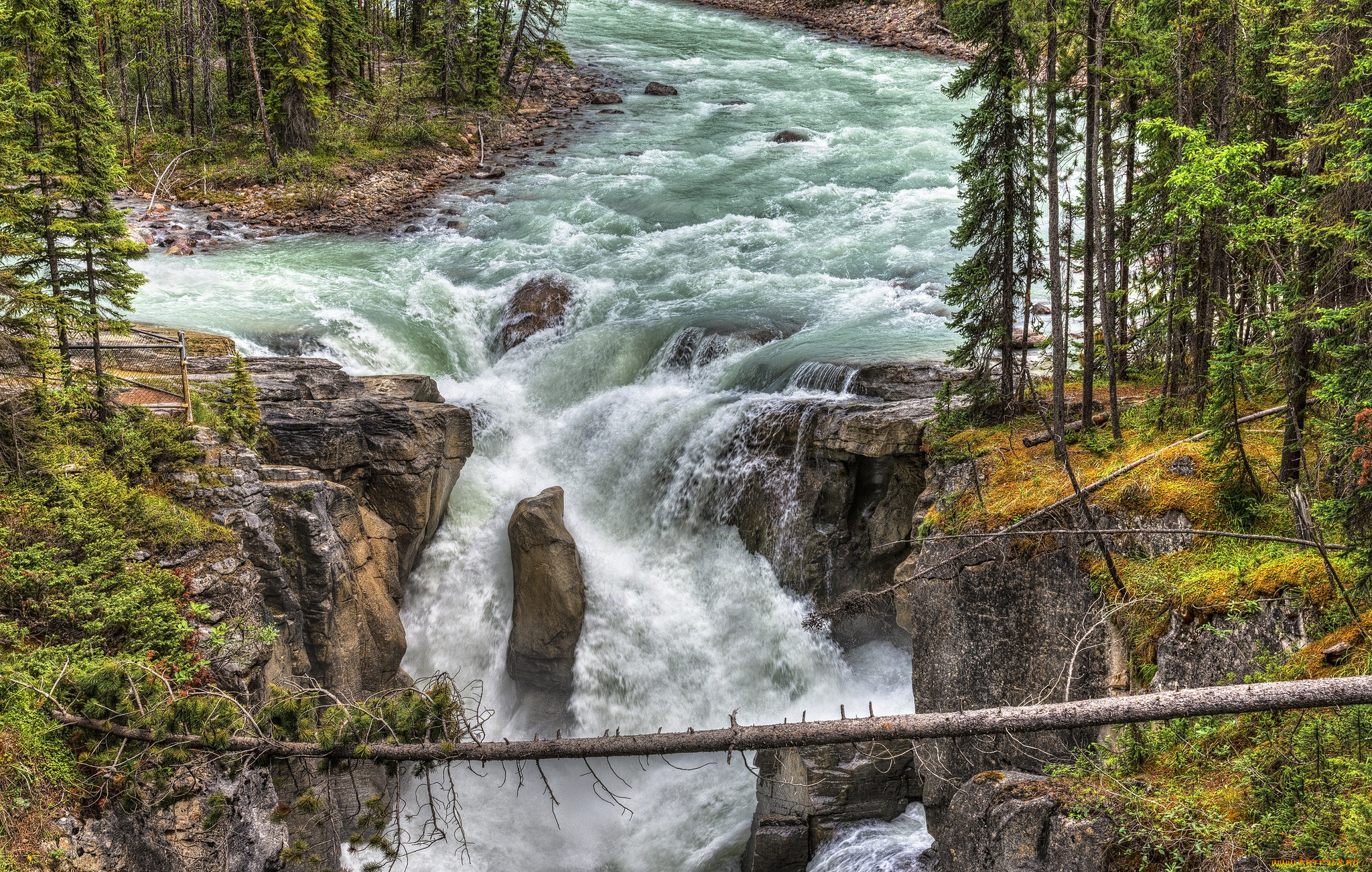 природа, водопады, водопад, река, лес