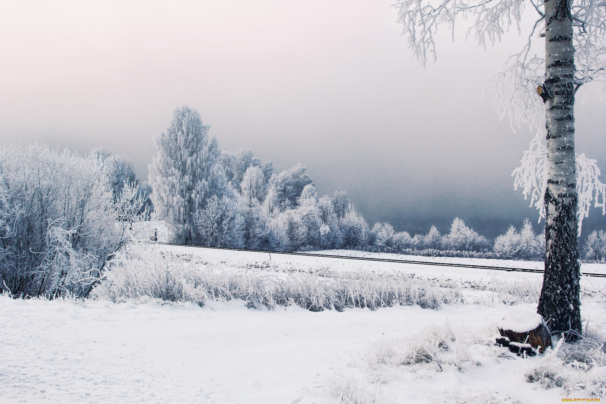 природа, зима, железная, дорога, иней, деревья, снег, швеция
