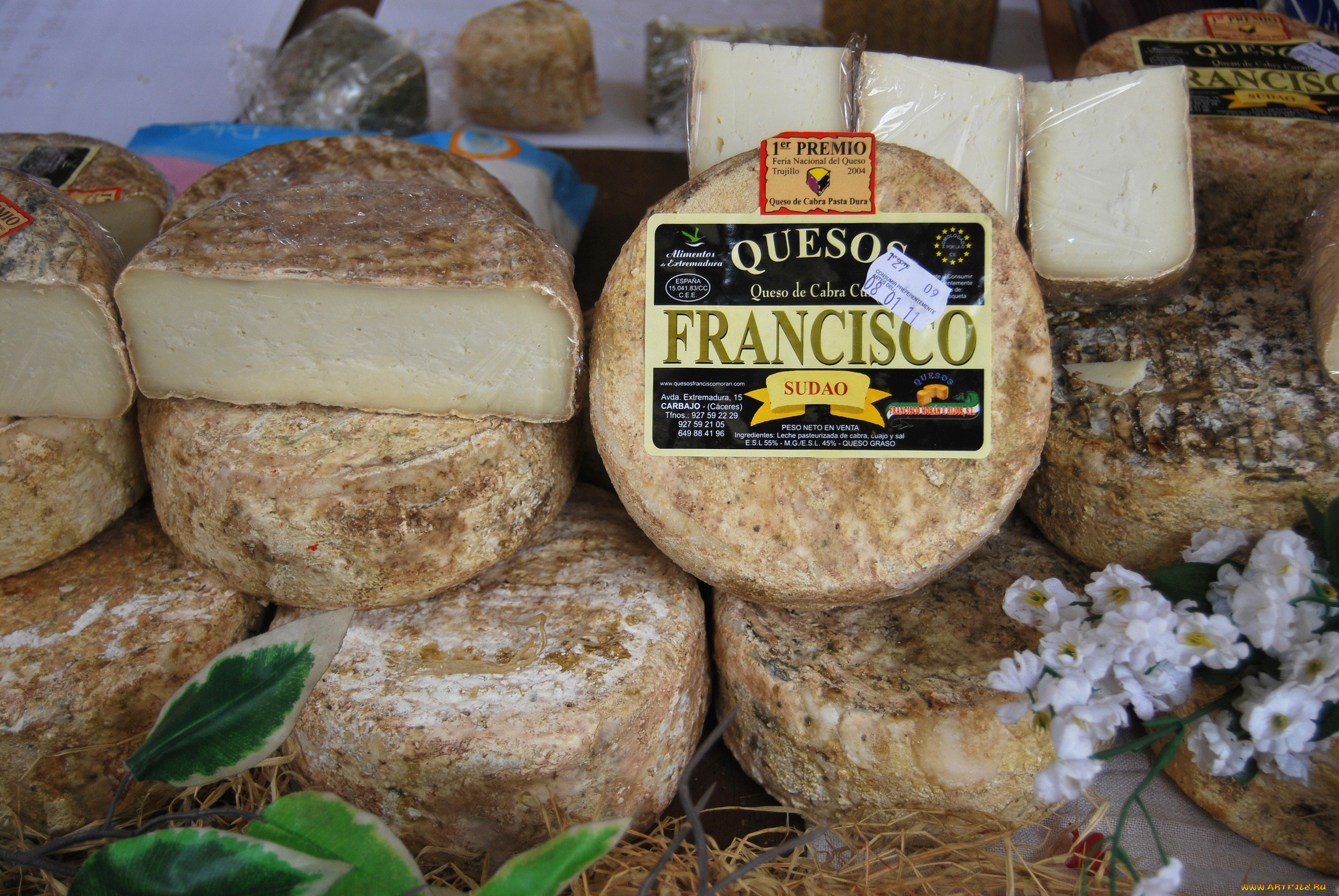 francisco, sudao, еда, сырные, изделия, сыр
