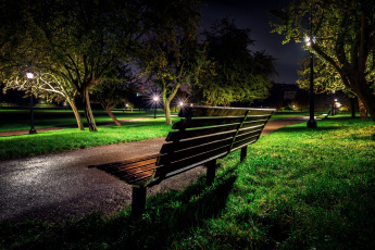 Картинка природа парк аллея ночь скамья