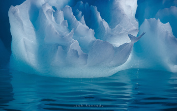 Картинка природа айсберги+и+ледники антарктика лёд вода айсберг