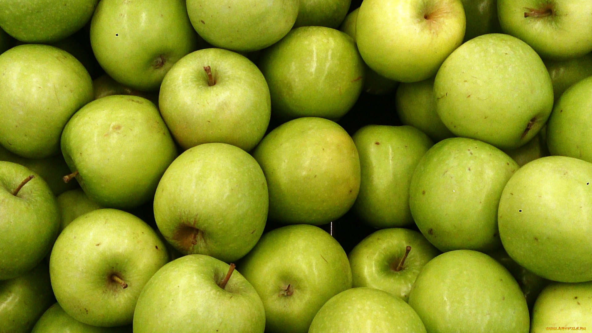 еда, яблоки, зеленые