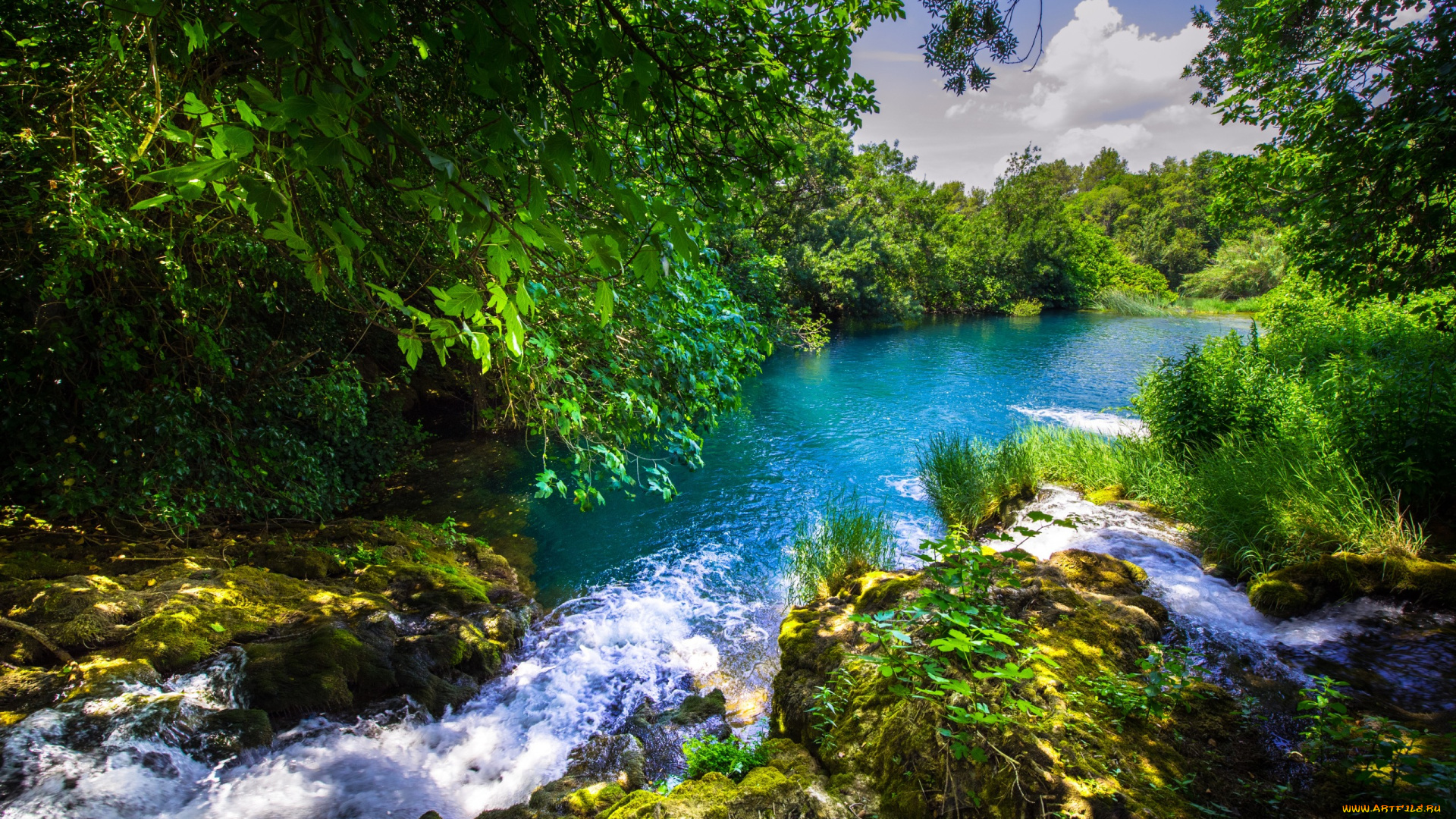 природа, реки, озера, деревья, река, вода