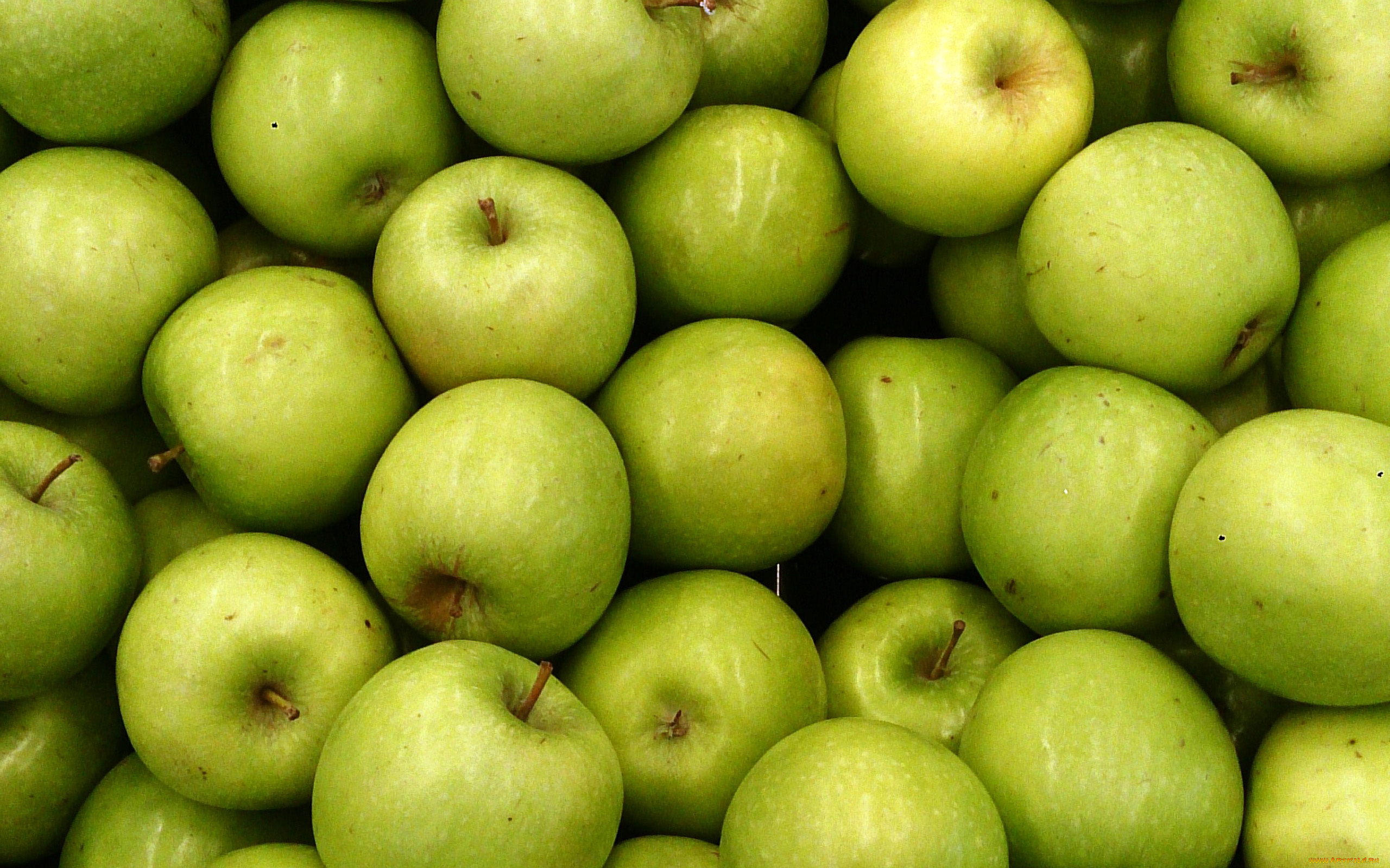 еда, яблоки, зеленые