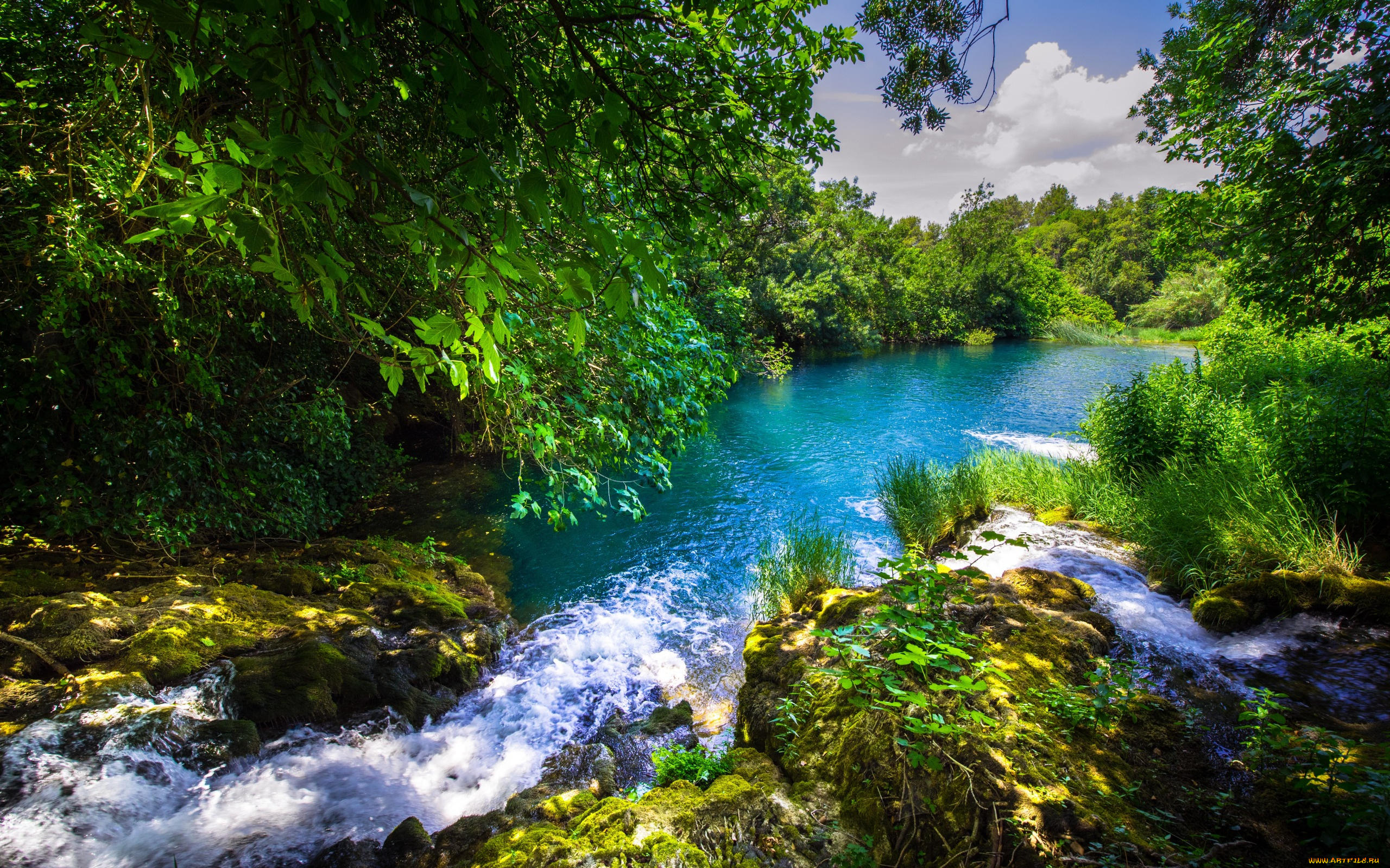 природа, реки, озера, деревья, река, вода