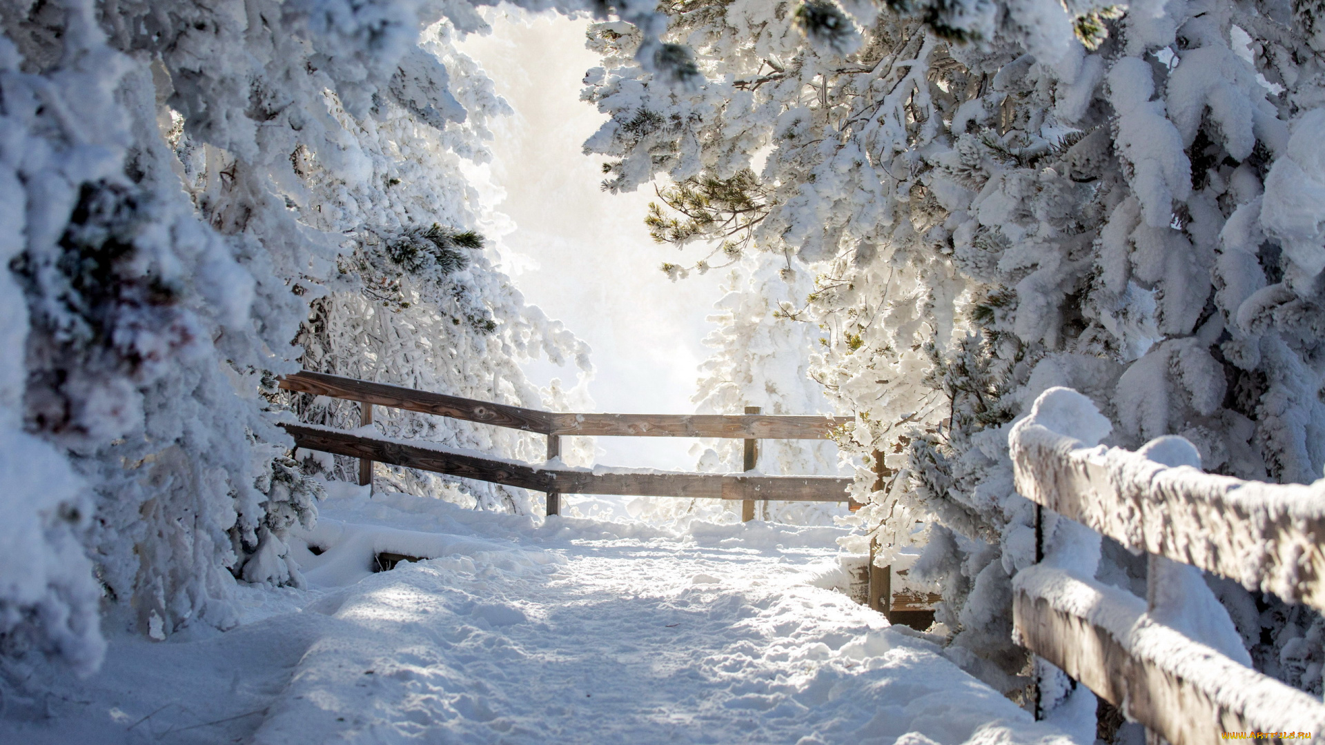 yellowstone, np, , wyoming, природа, зима, yellowstone, np, wyoming