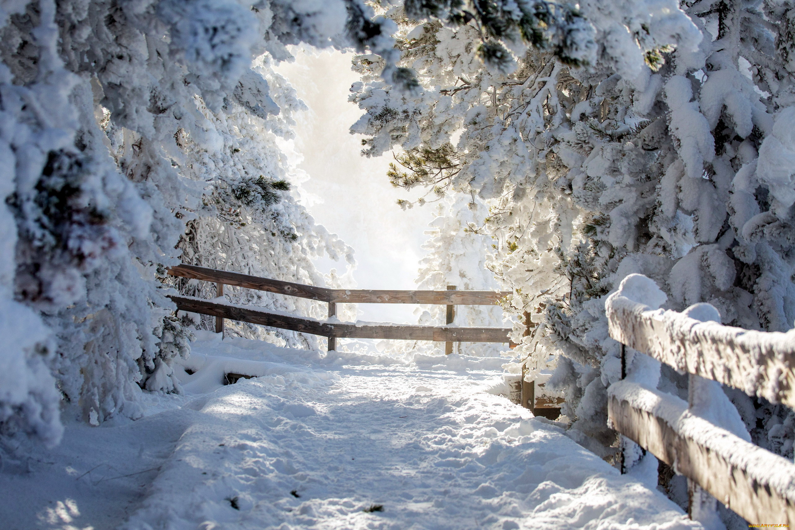 yellowstone, np, , wyoming, природа, зима, yellowstone, np, wyoming