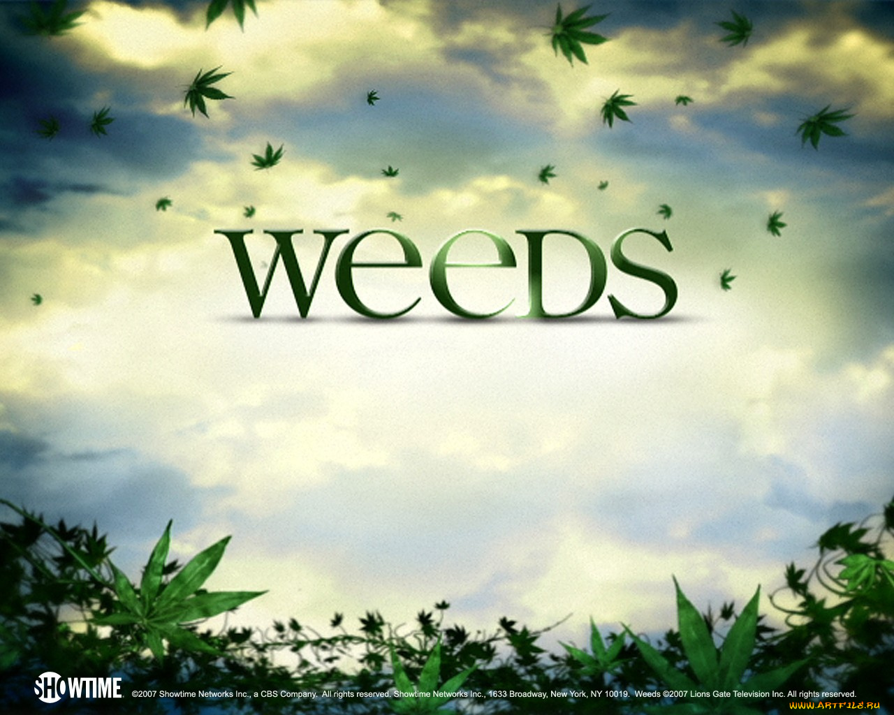 weeds, кино, фильмы