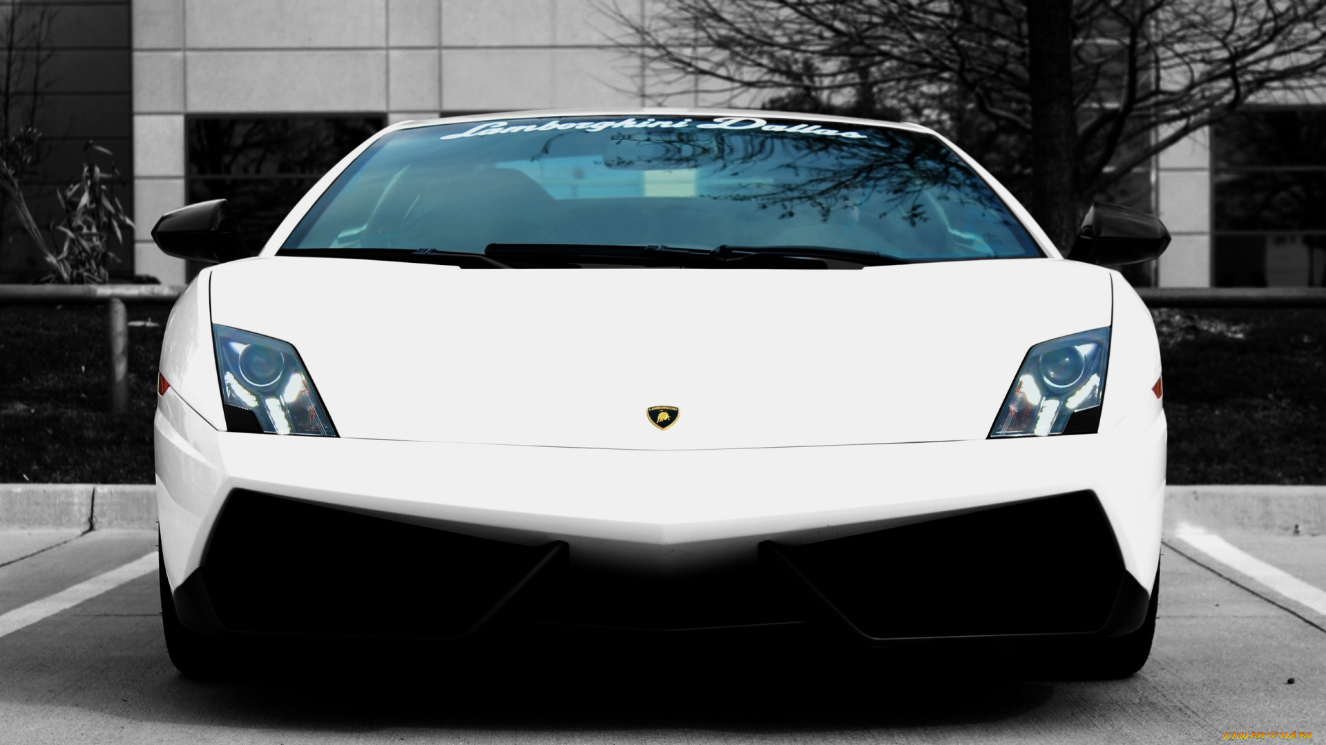 автомобили, lamborghini, фары