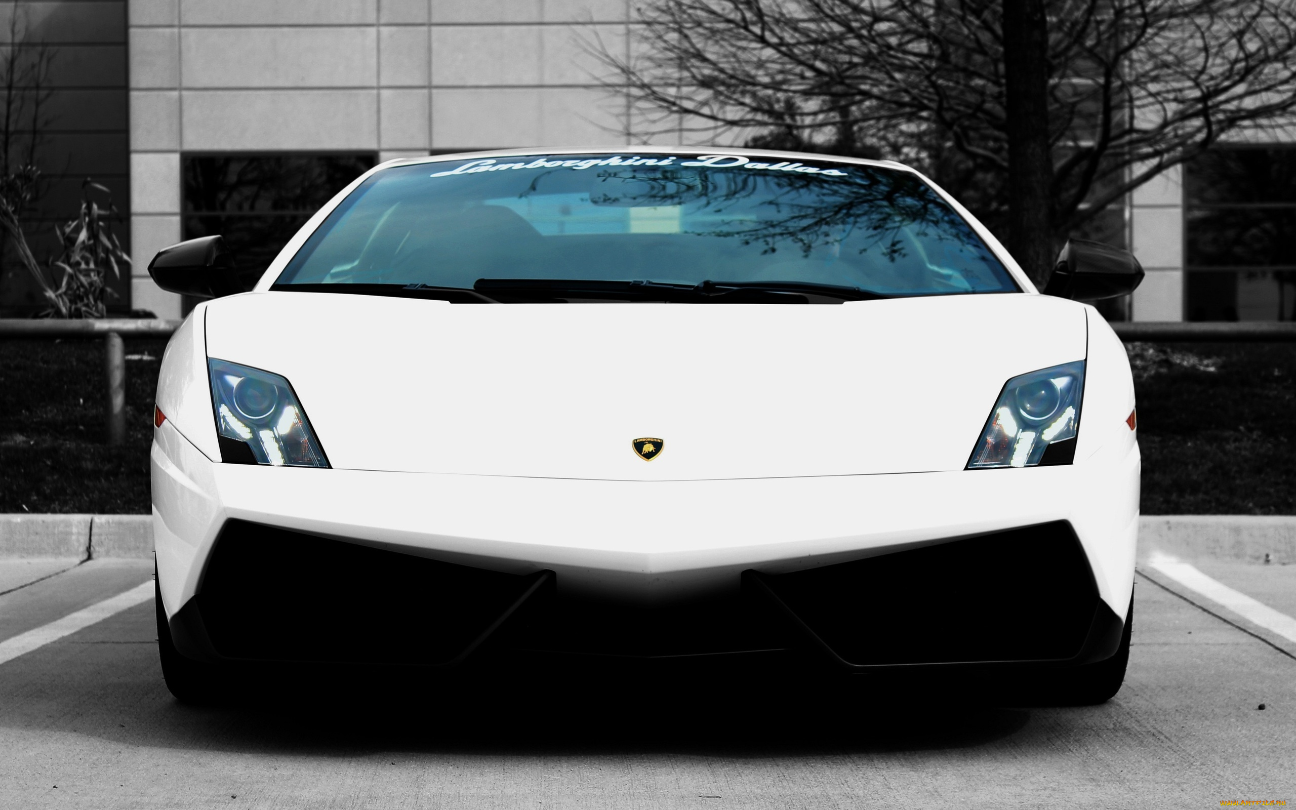 автомобили, lamborghini, фары