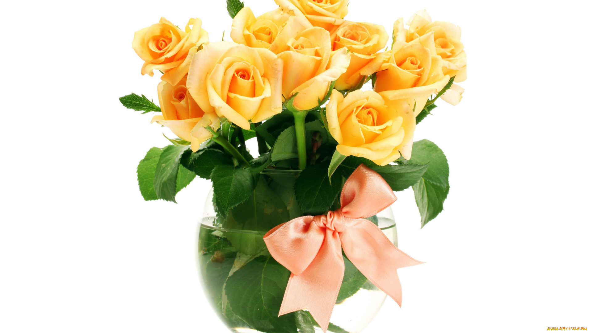 цветы, розы, ваза, желтые