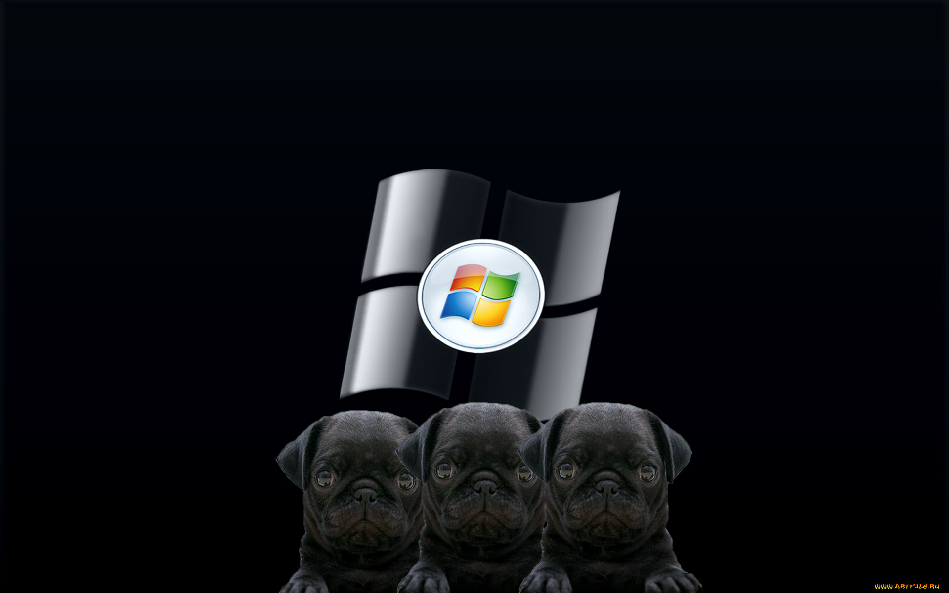 компьютеры, windows, vista, windows, longhorn, собаки, фон, логотип