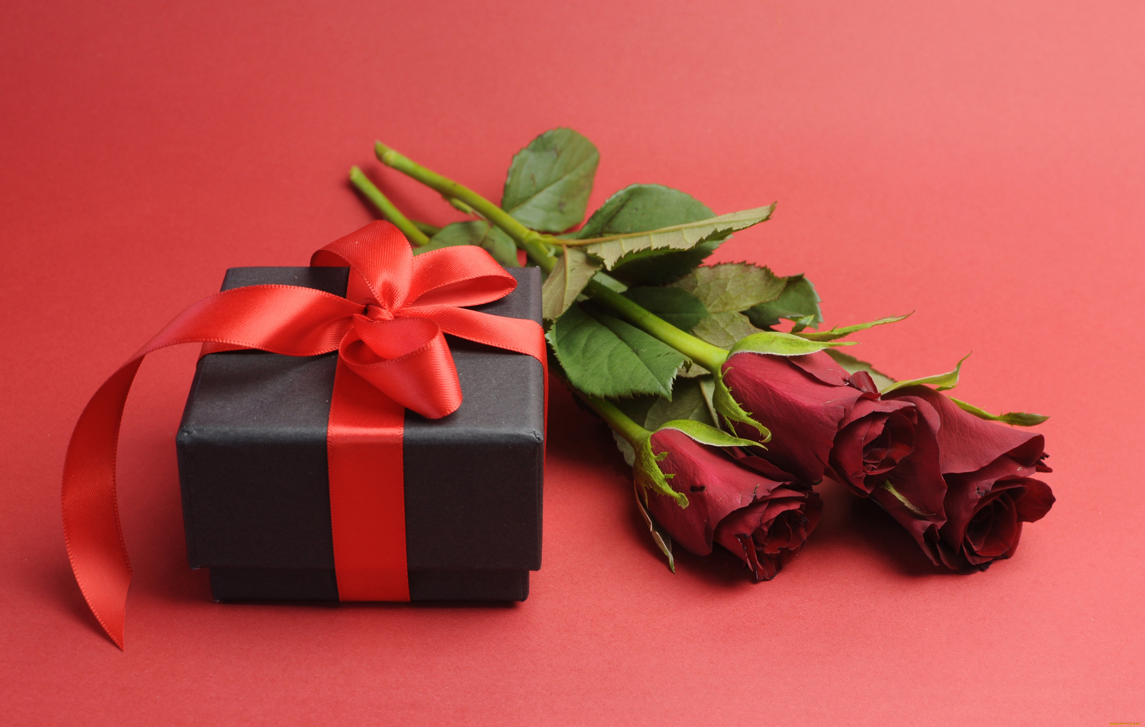 цветы, розы, red, roses, romantic, gift, романтика, подарок, любовь