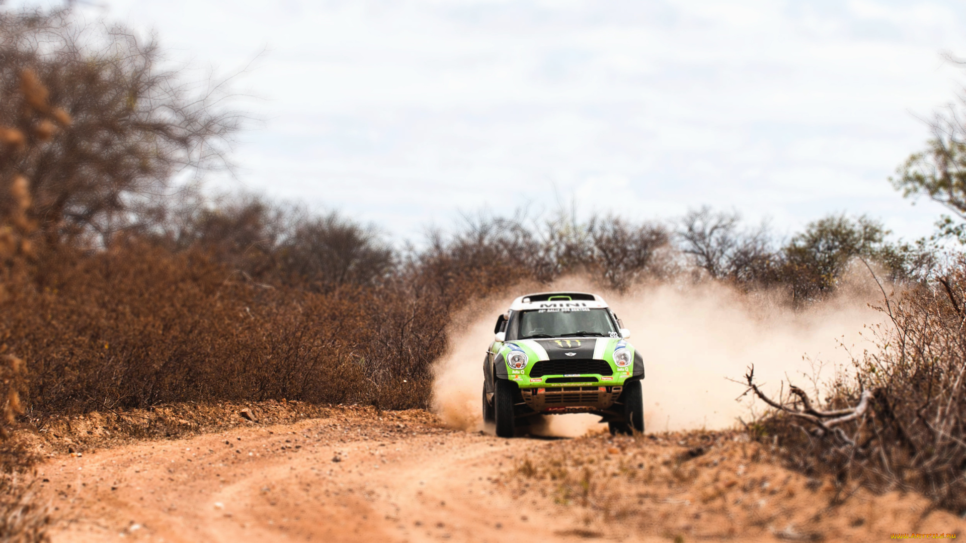 mini, cooper, rally, автомобили, mini, dakar, rally, мини, купер, cooper, зеленый, x-raid, авто