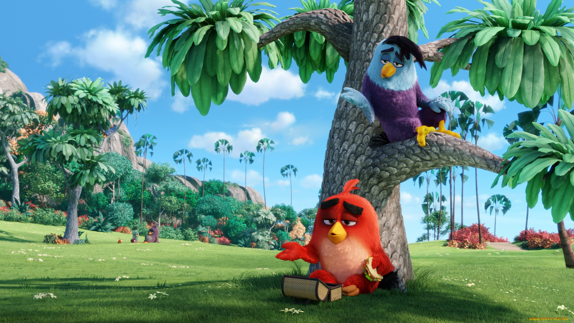 мультфильмы, the, angry, birds, movie, персонажи