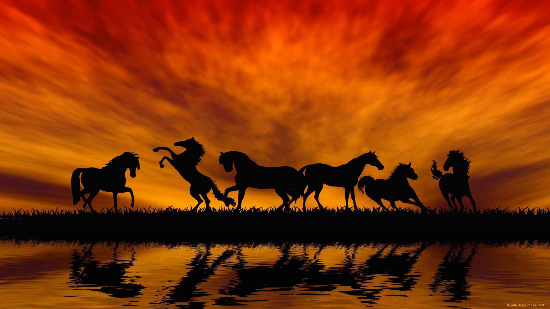 рисованное, животные, , лошади, закат, отражение, оранжевый, силуэт