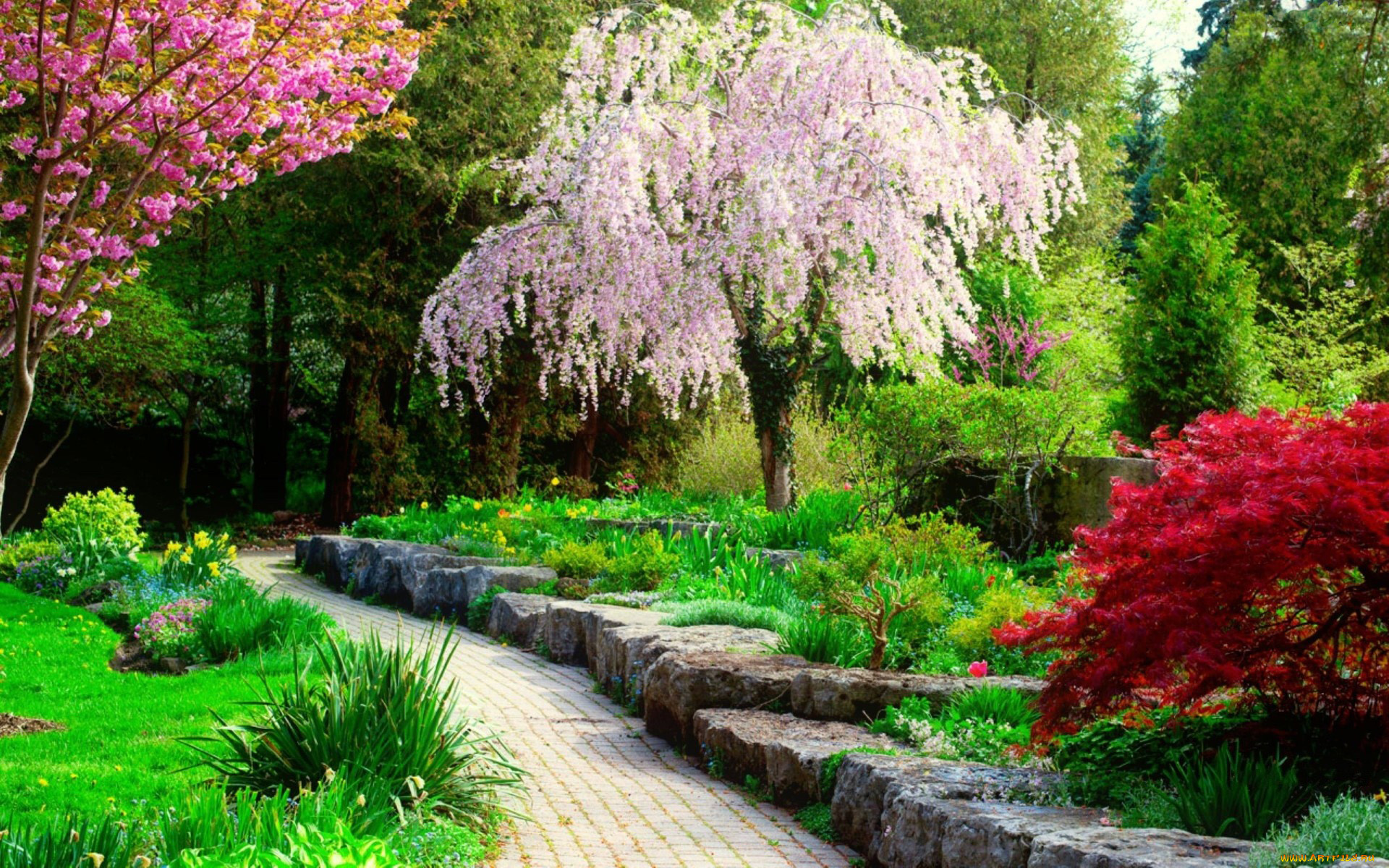 природа, парк, весна, цветущие, деревья