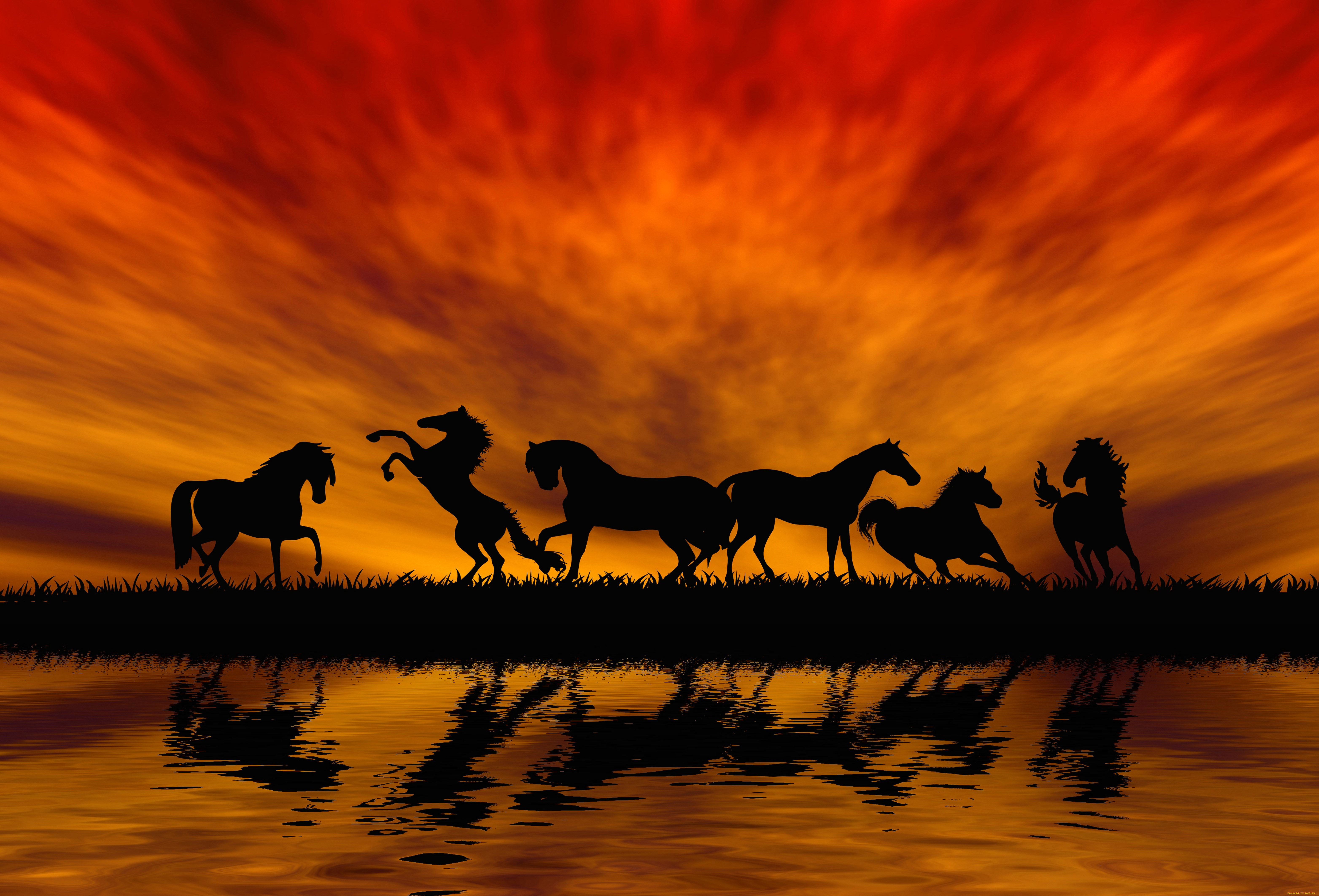 рисованное, животные, , лошади, закат, отражение, оранжевый, силуэт