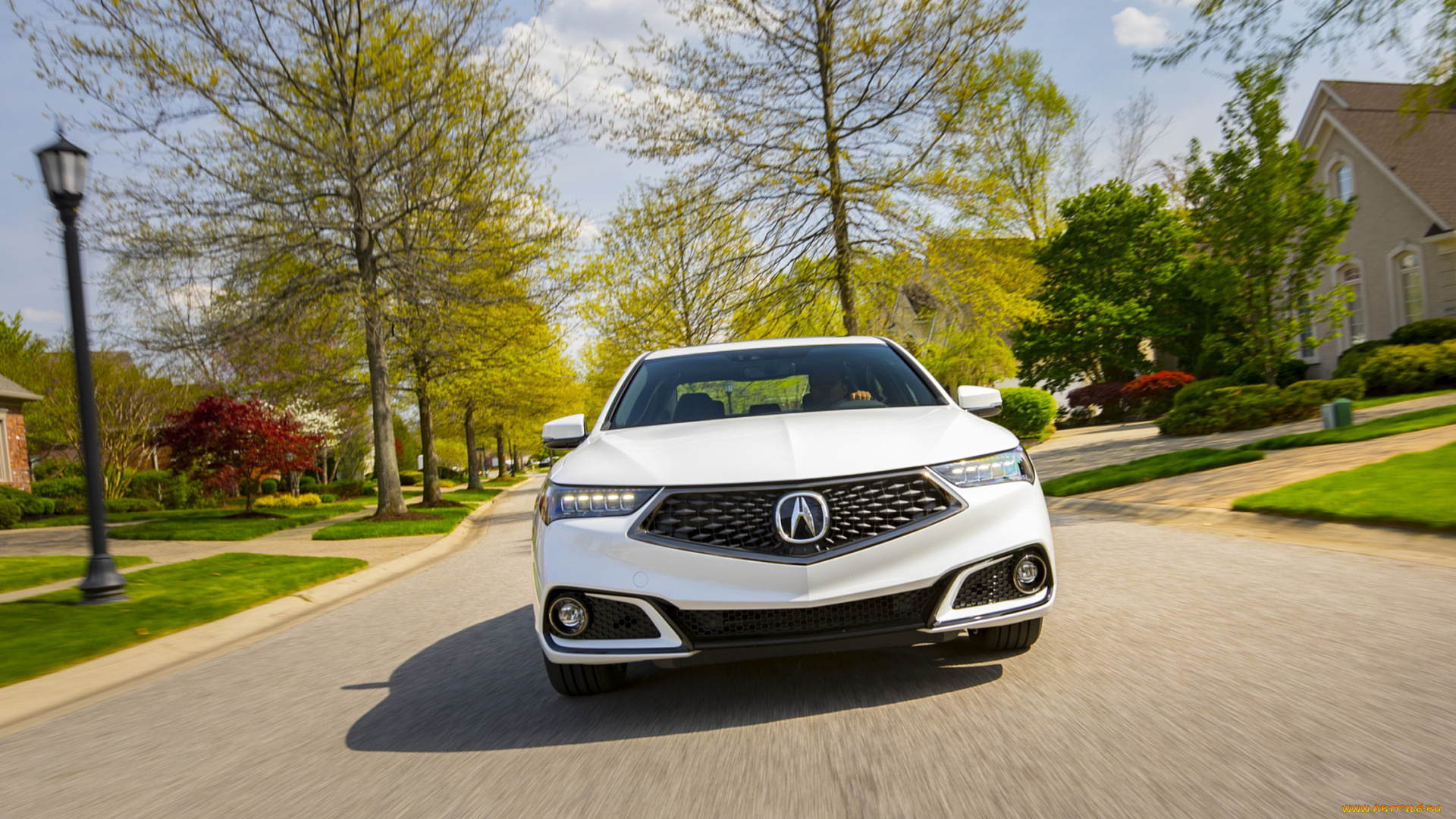 acura, tlx, a-spec, sh-awd, 2019, автомобили, acura, 2019, sh-awd, a-spec, tlx, белый