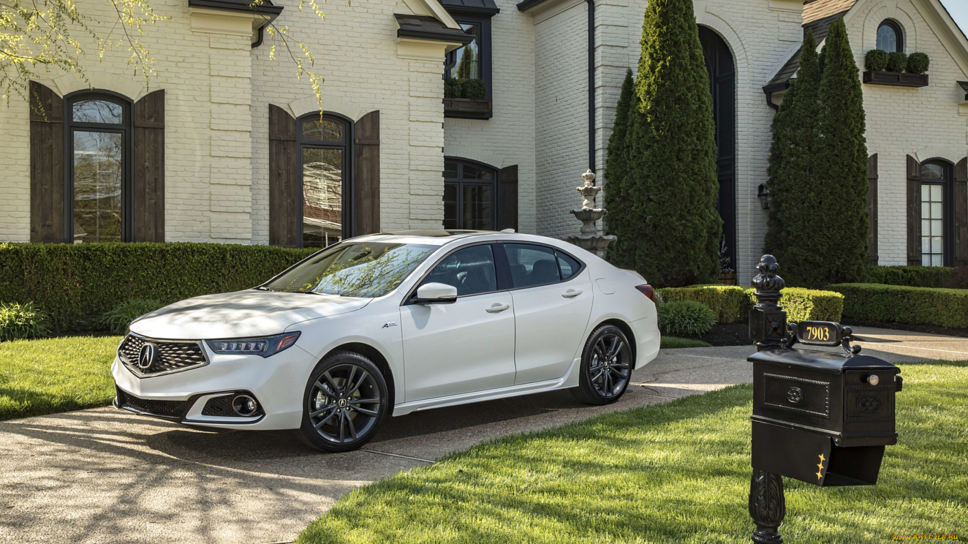 acura, tlx, a-spec, sh-awd, 2019, автомобили, acura, 2019, sh-awd, a-spec, tlx, белый