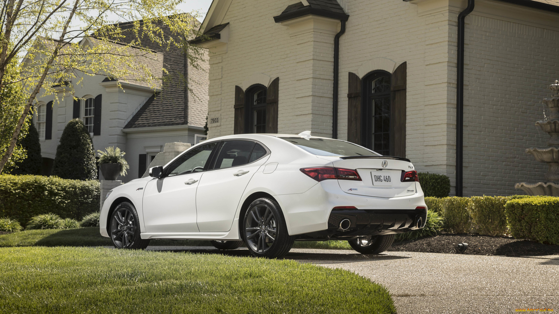 acura, tlx, a-spec, sh-awd, 2019, автомобили, acura, a-spec, tlx, sh-awd, белый, 2019