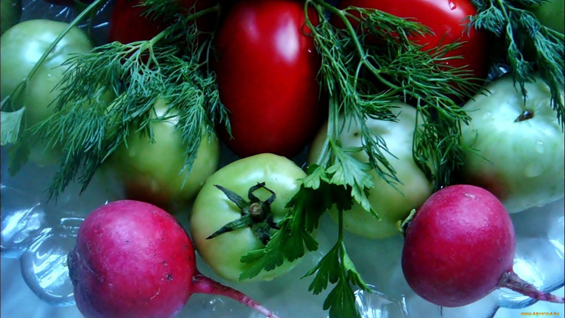 еда, овощи, томаты, помидоры, зелень, редис