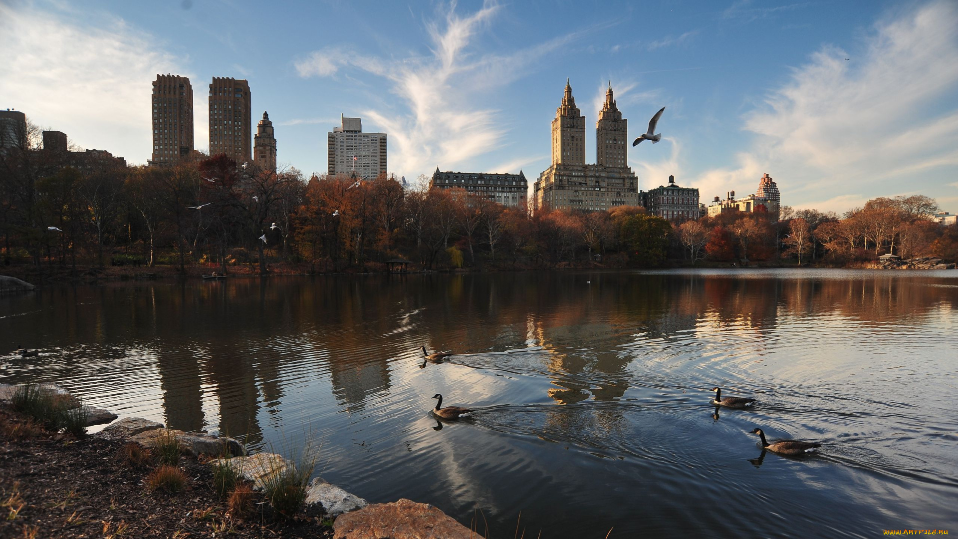 города, нью, йорк, сша, ny, usa