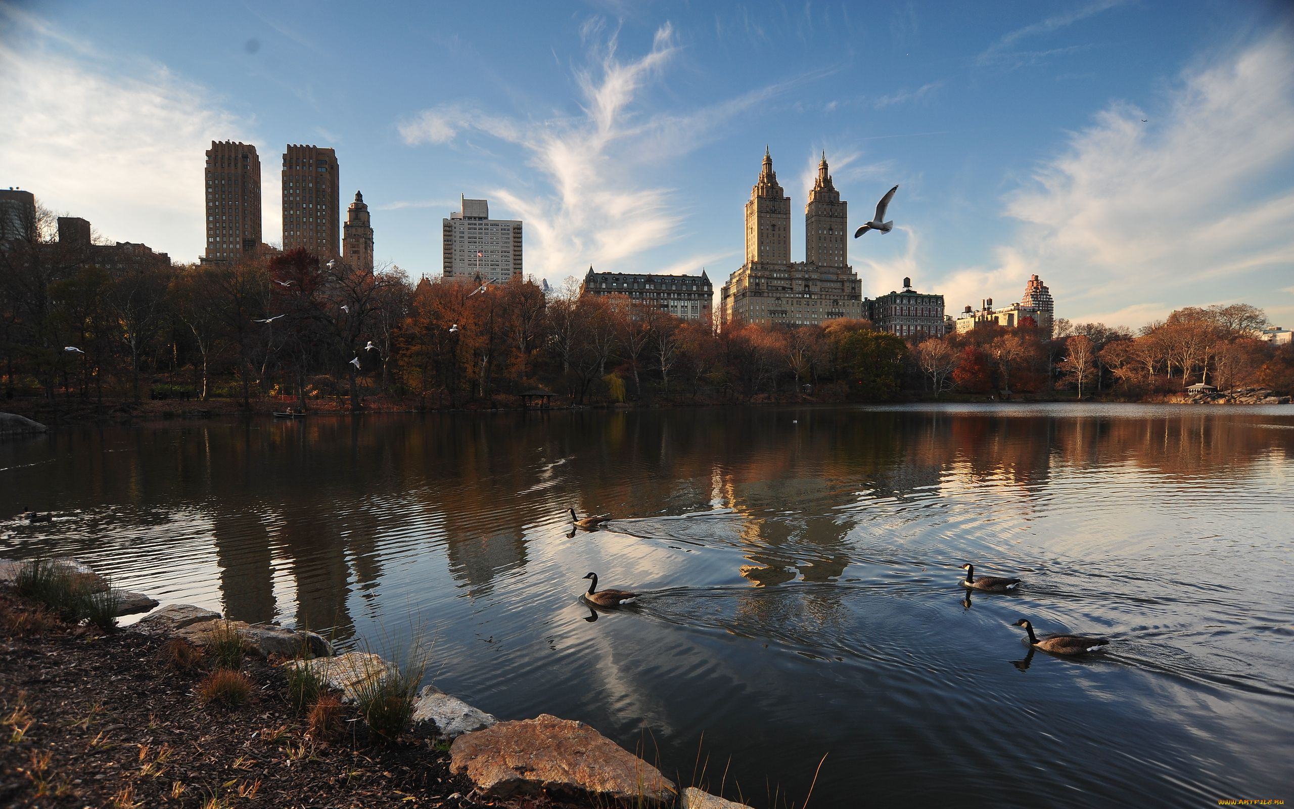 города, нью, йорк, сша, ny, usa