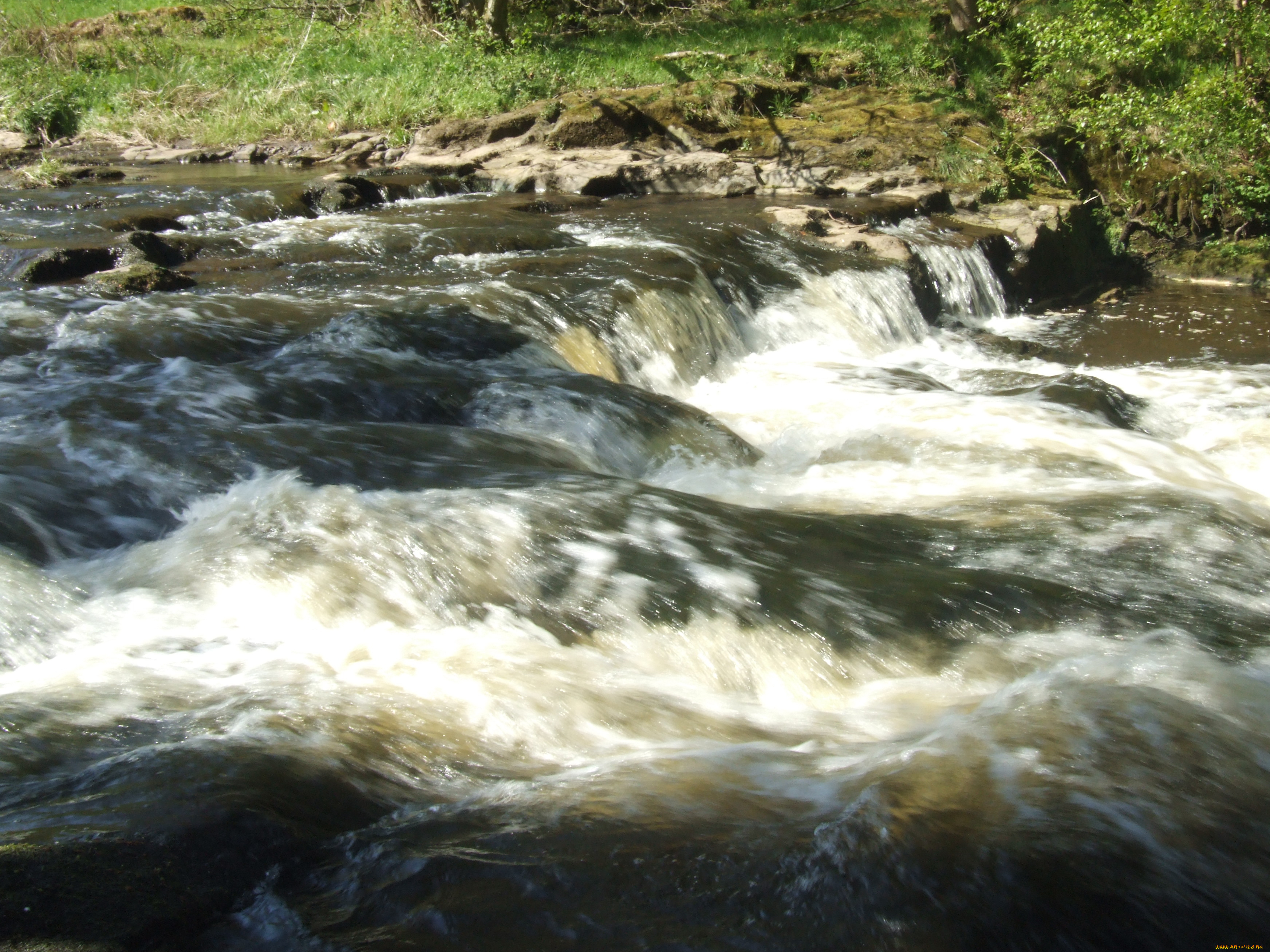 природа, реки, озера, река, вода, камни