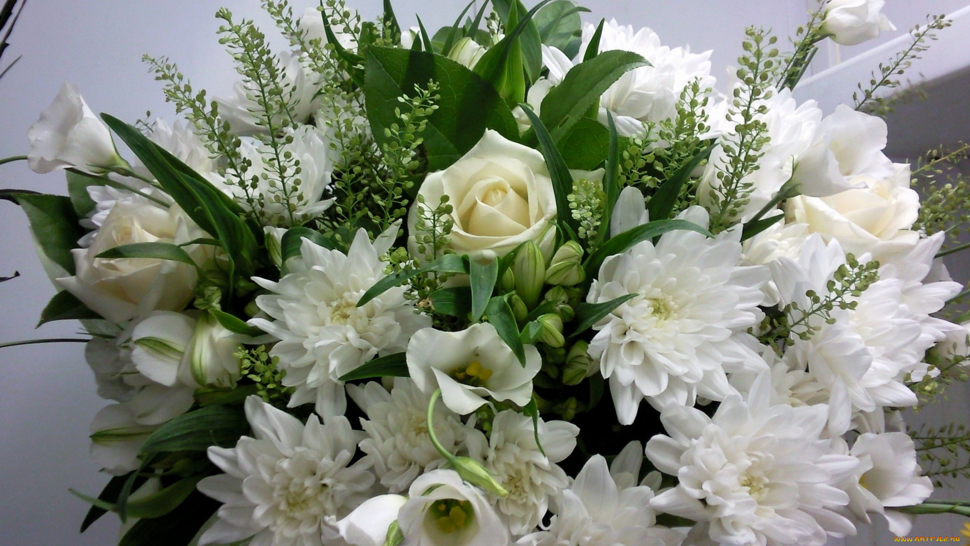 цветы, букеты, композиции, букет, розы, хризантемы, белые