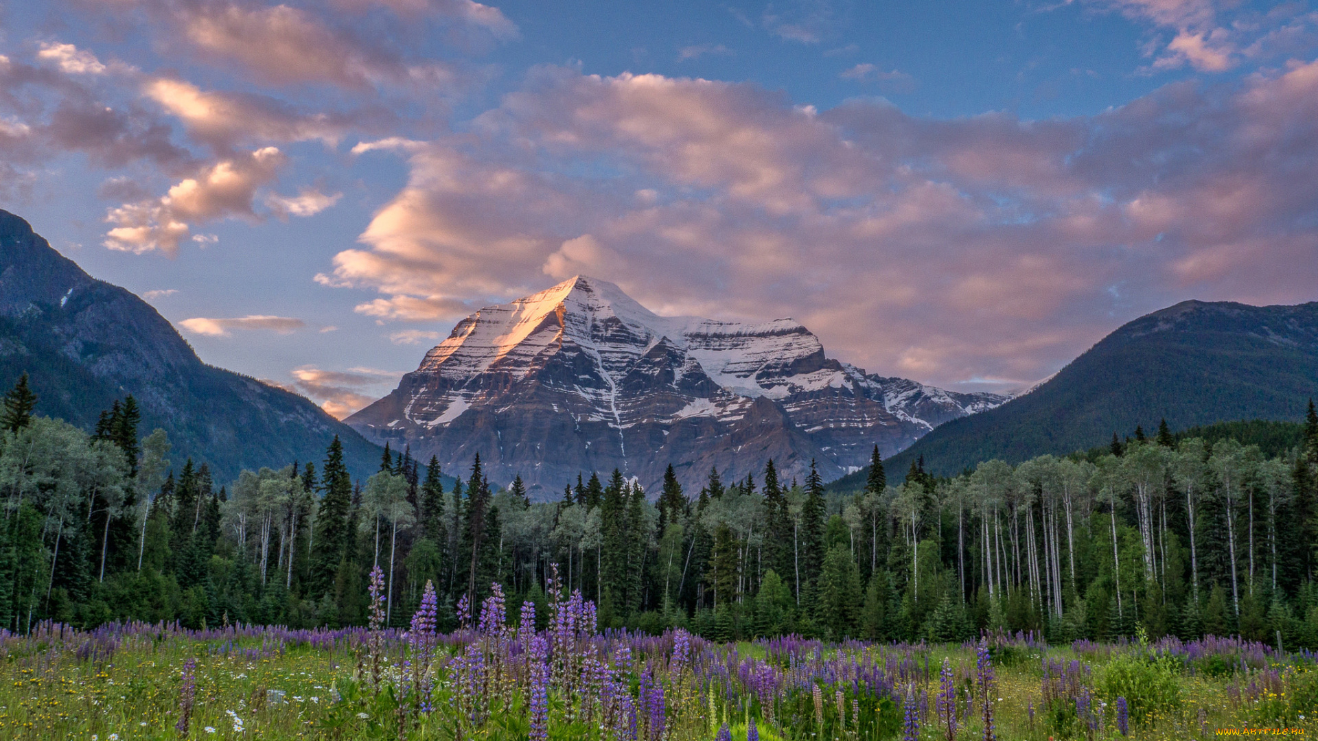 природа, горы, mount, robson, canadian, rockies, british, columbia, canada, гора, робсон, канадские, скалистые, британская, колумбия, канада, луг, цветы, лес, деревья