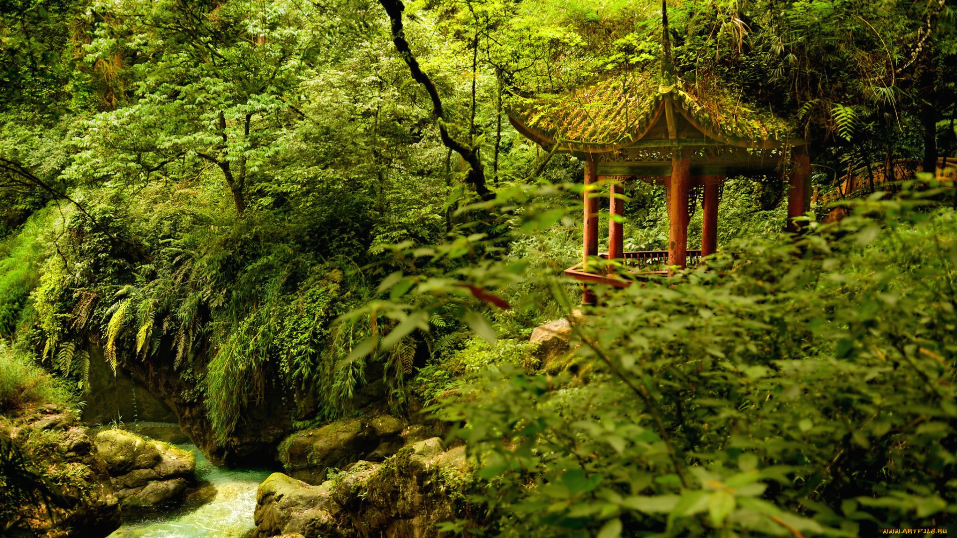 природа, парк, зелень, деревья, пагода, река, беседка