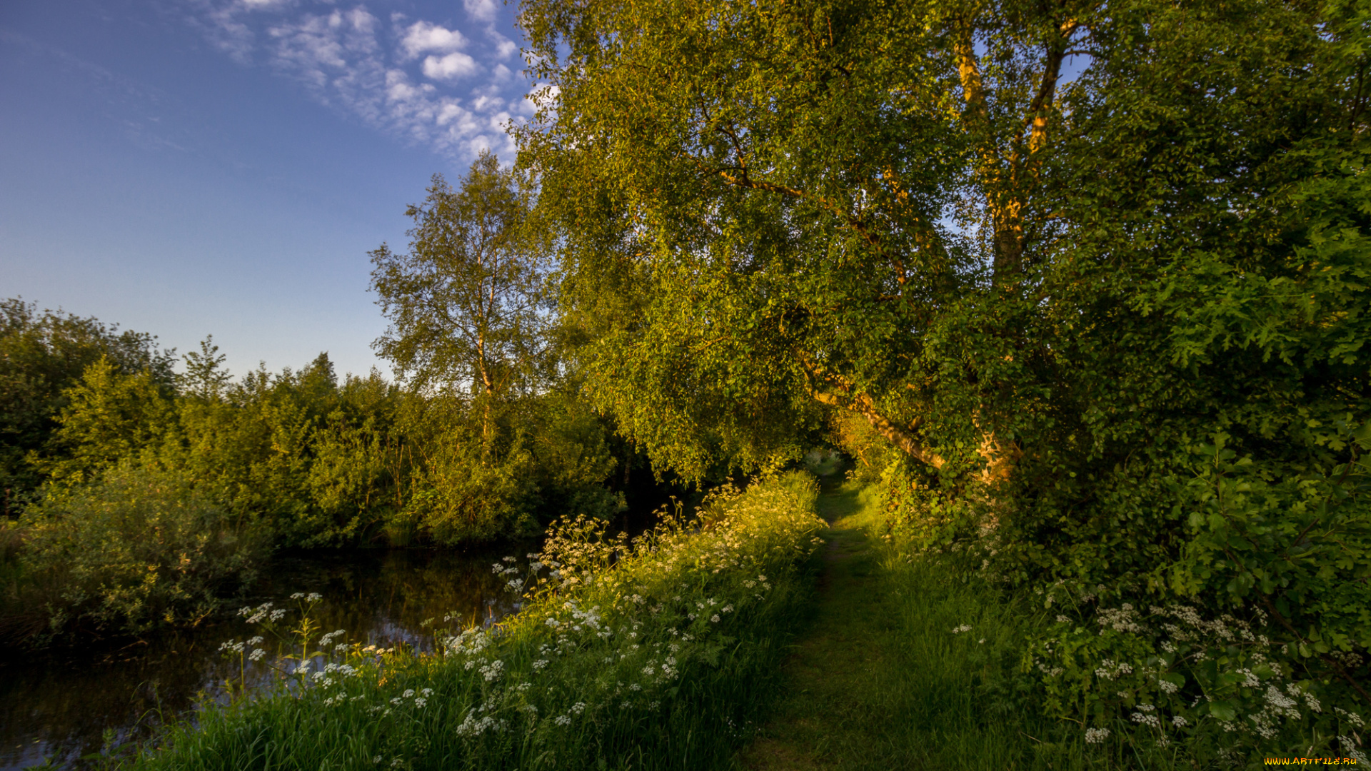 природа, реки, озера, лес, река, тропинка