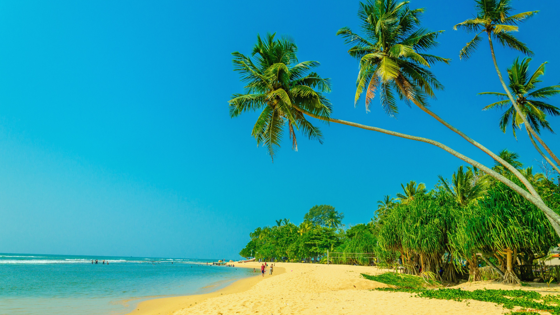 природа, тропики, paradise, пальмы, tropical, sand, beach, summer, песок, shore, берег, море, пляж, palms, sea