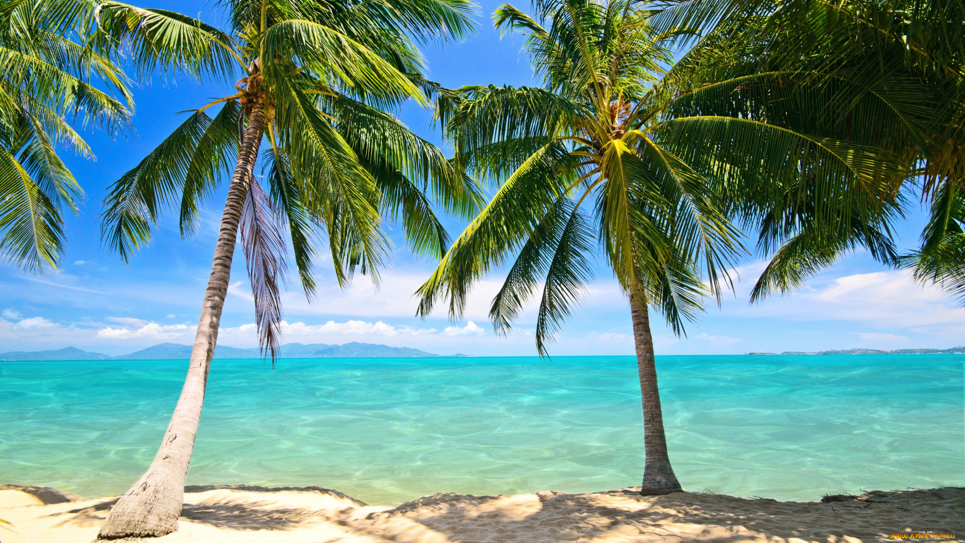 природа, тропики, summer, tropical, paradise, shore, sea, beach, берег, пляж, пальмы, песок, море, palms, sand