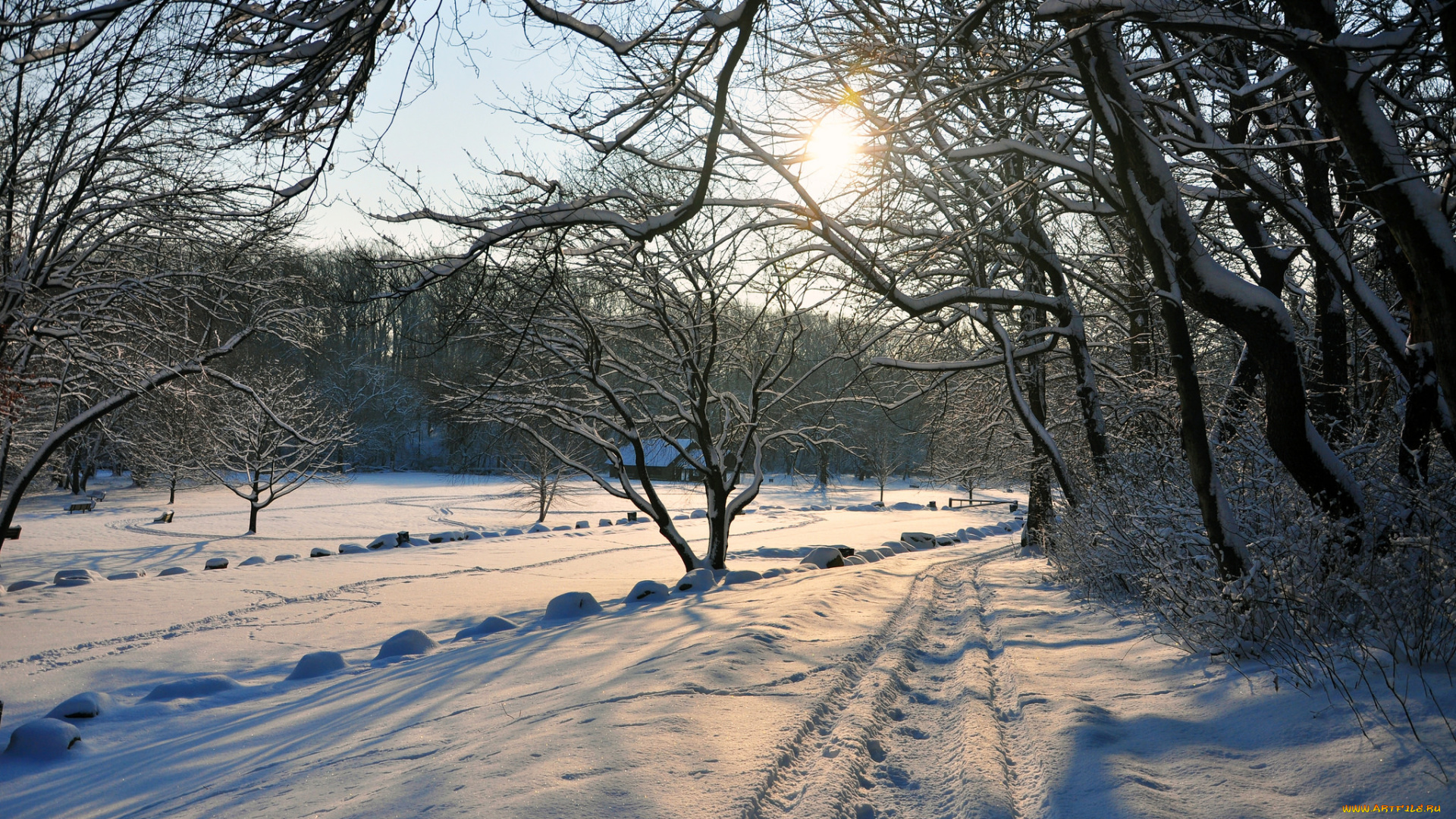 природа, зима, дорога, снег, деревья, небо, солнце