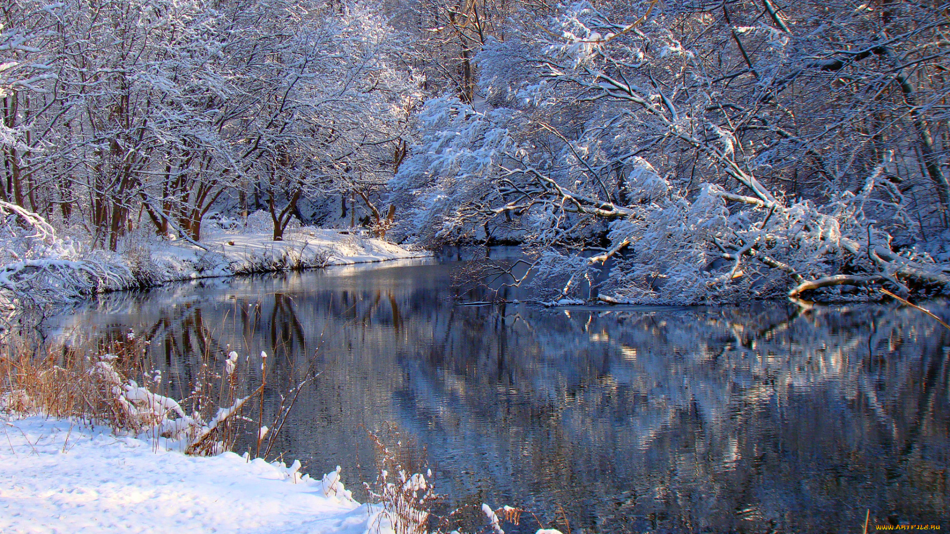 природа, зима, река, деревья, снег