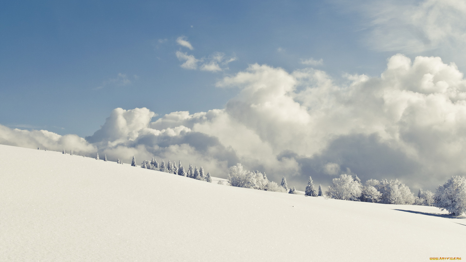 природа, зима, снег, небо, деревья, облака