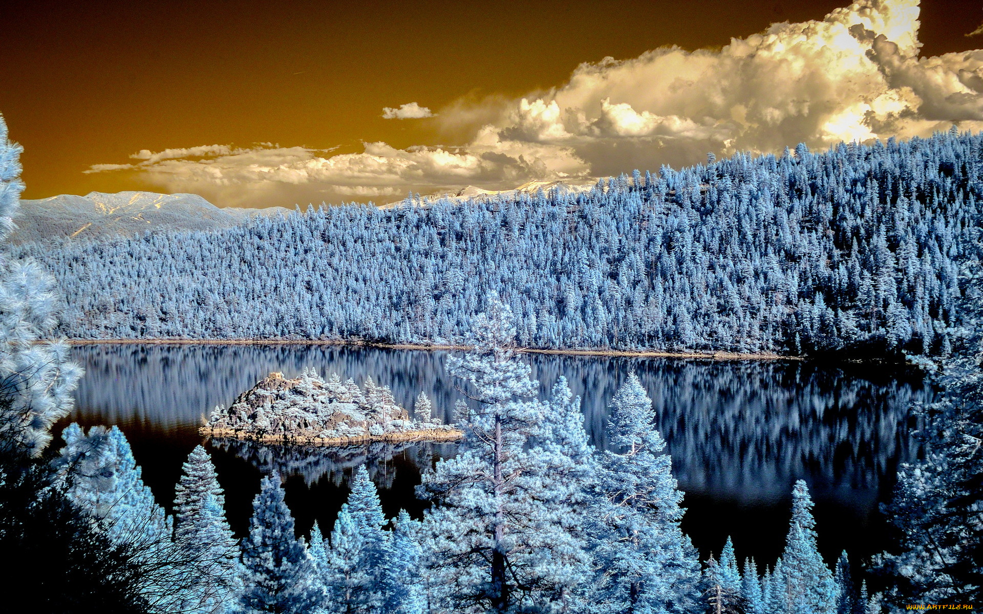 природа, реки, озера, лес, зима, река, ели, небо, пейзаж