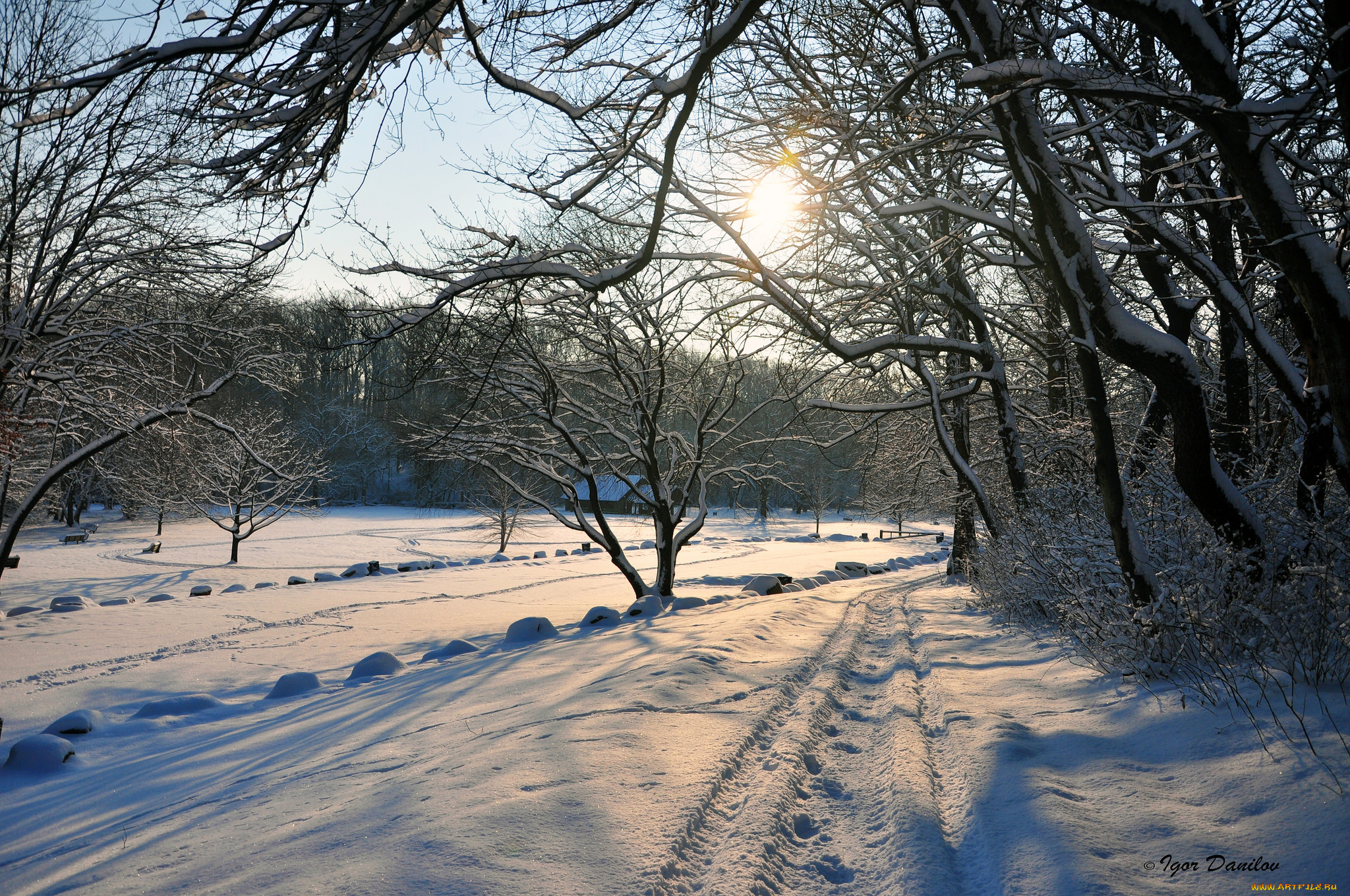 природа, зима, дорога, снег, деревья, небо, солнце