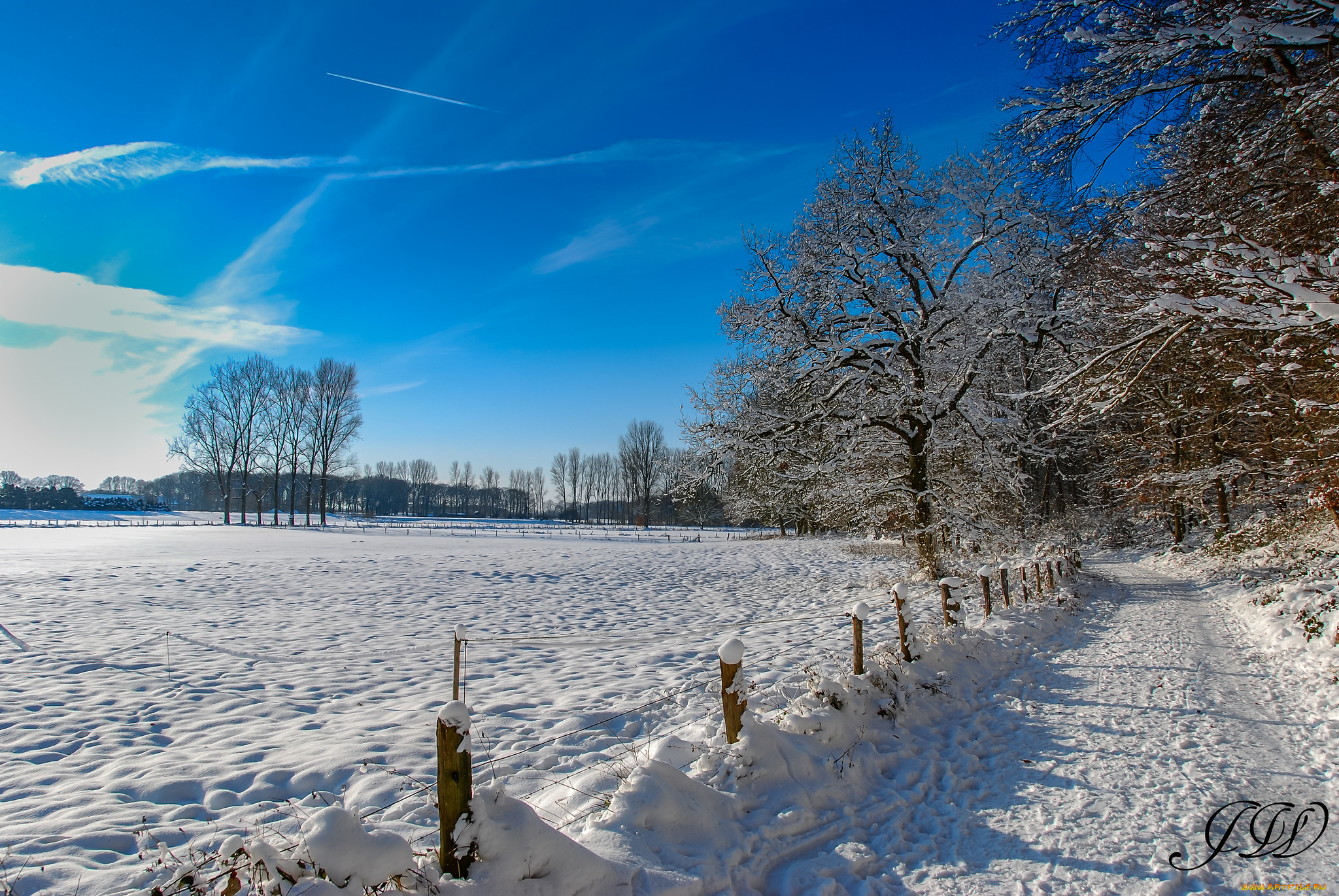 природа, зима, небо, деревья, солнечно, снег, дорога