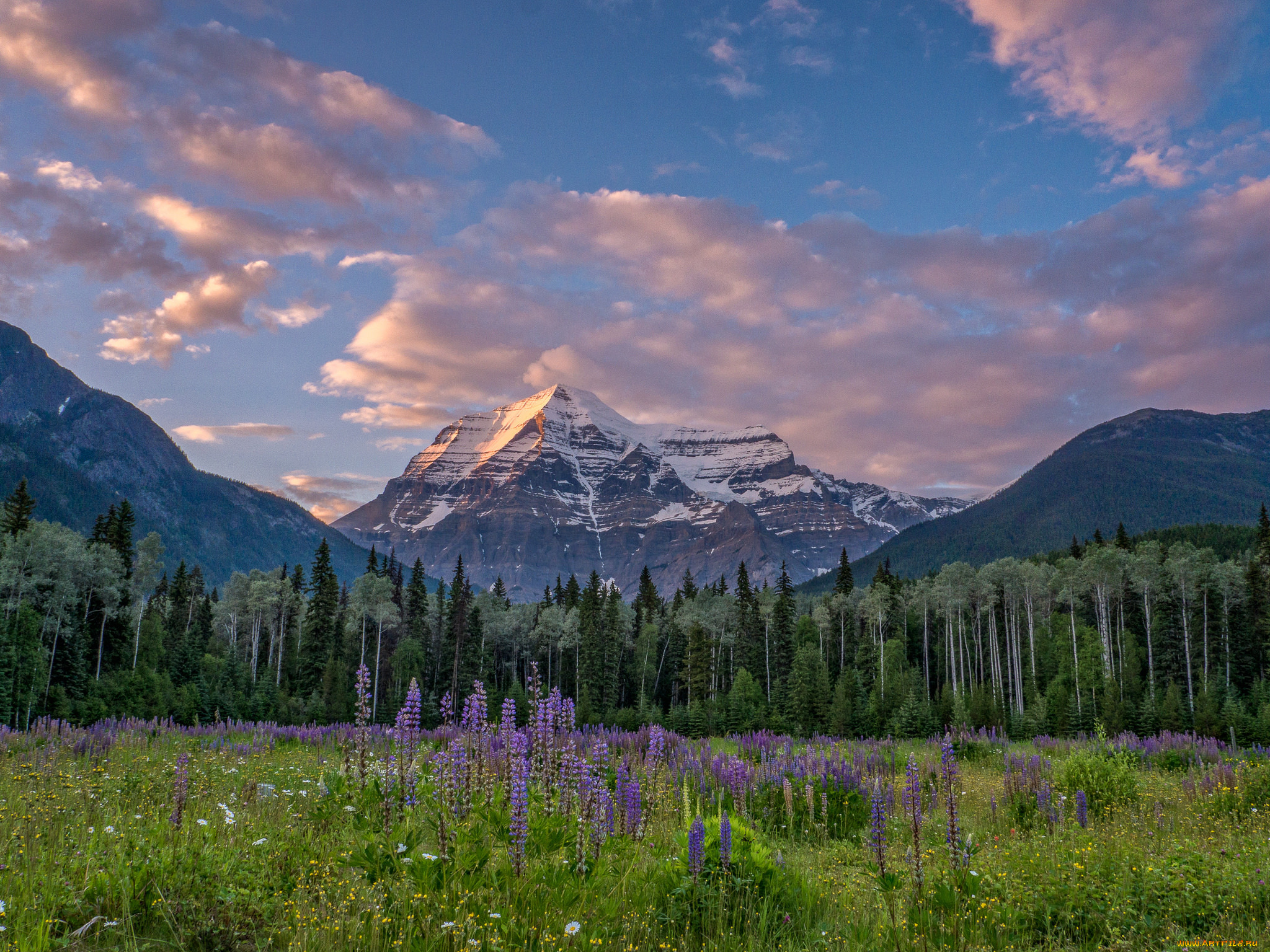 природа, горы, mount, robson, canadian, rockies, british, columbia, canada, гора, робсон, канадские, скалистые, британская, колумбия, канада, луг, цветы, лес, деревья