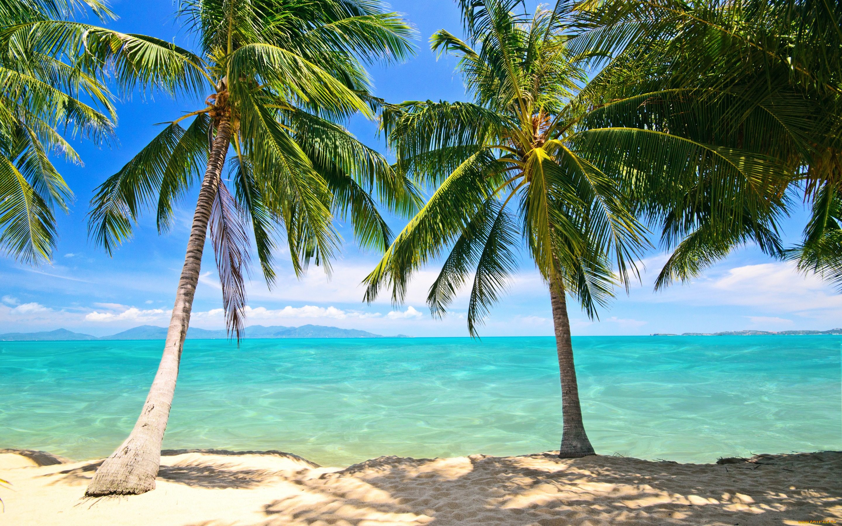 природа, тропики, summer, tropical, paradise, shore, sea, beach, берег, пляж, пальмы, песок, море, palms, sand