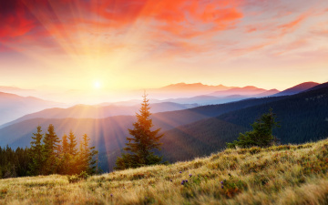 Картинка природа восходы закаты деревья цветы трава лучи солнце горы