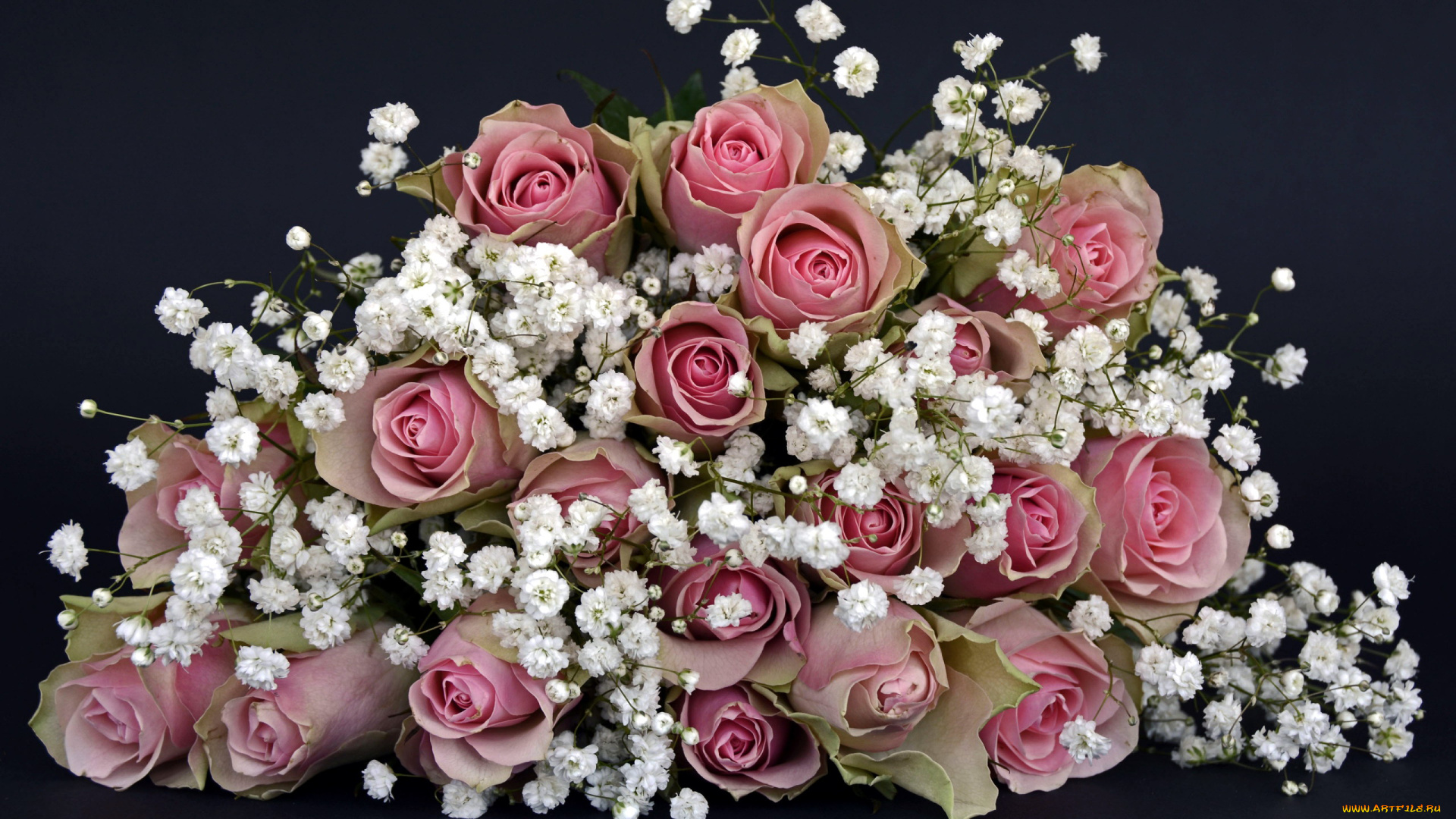 цветы, букеты, , композиции, розы, гипсофила, белый, розовый
