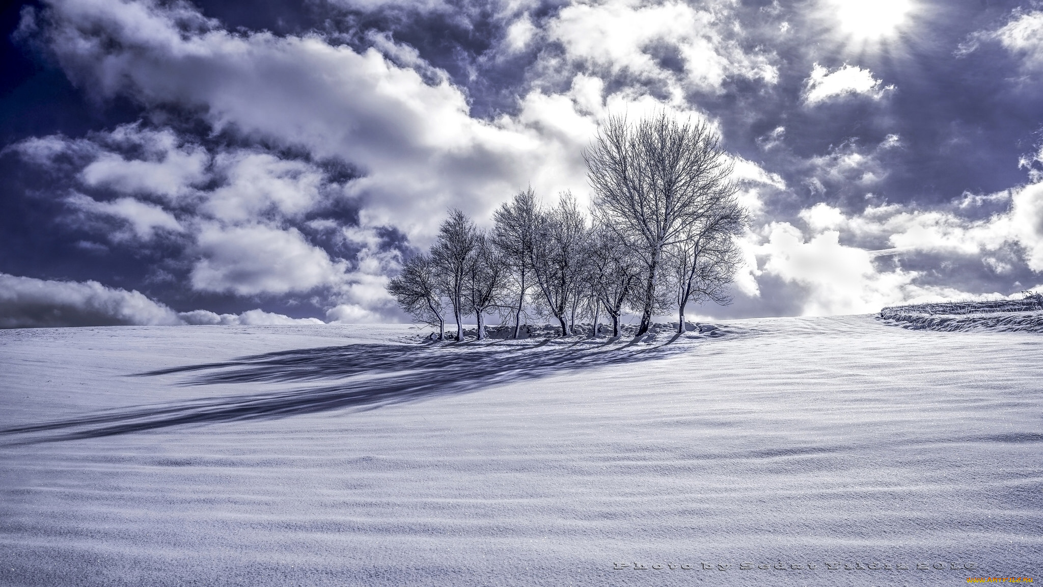 природа, зима, облака, деревья, снег