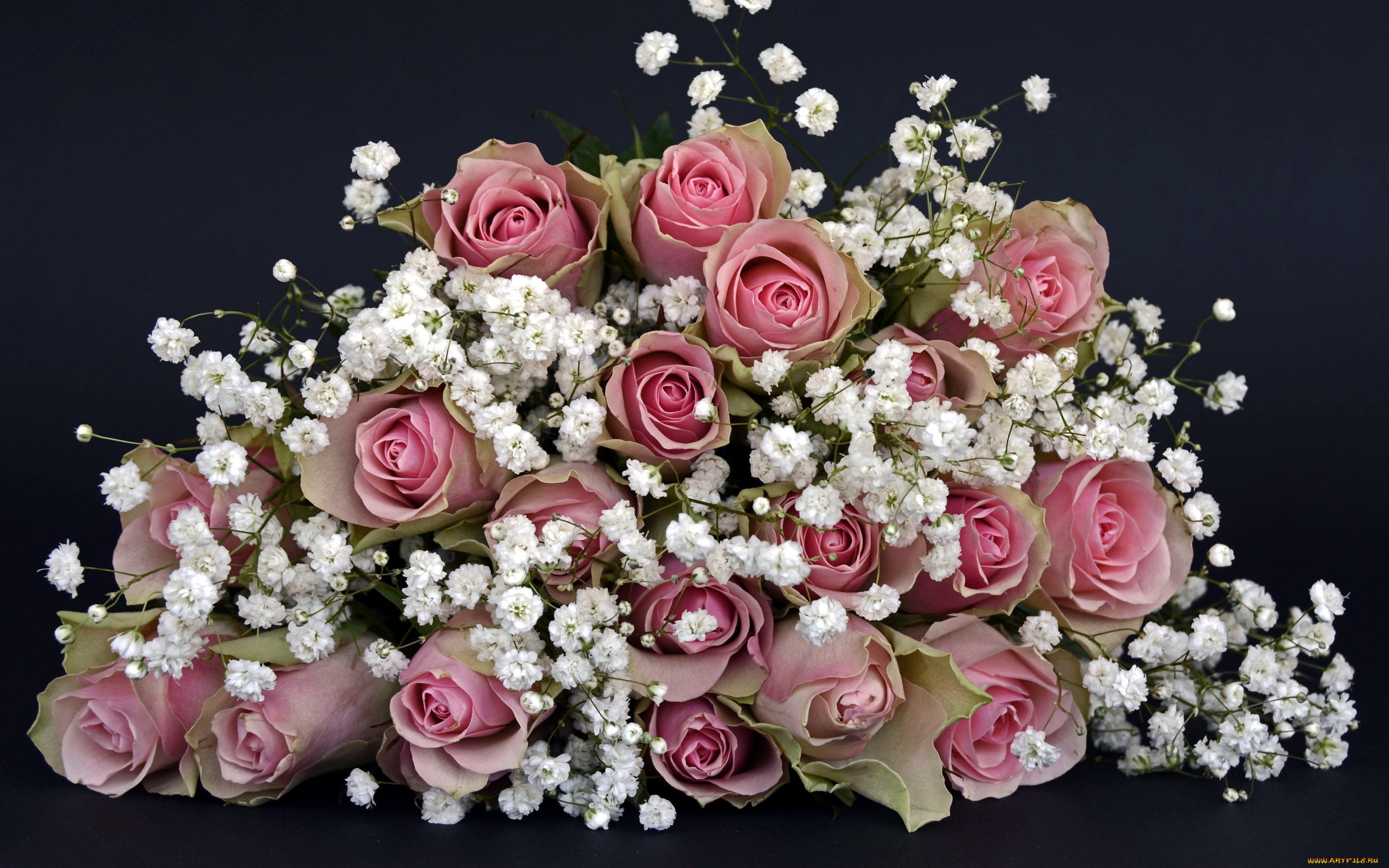 цветы, букеты, , композиции, розы, гипсофила, белый, розовый