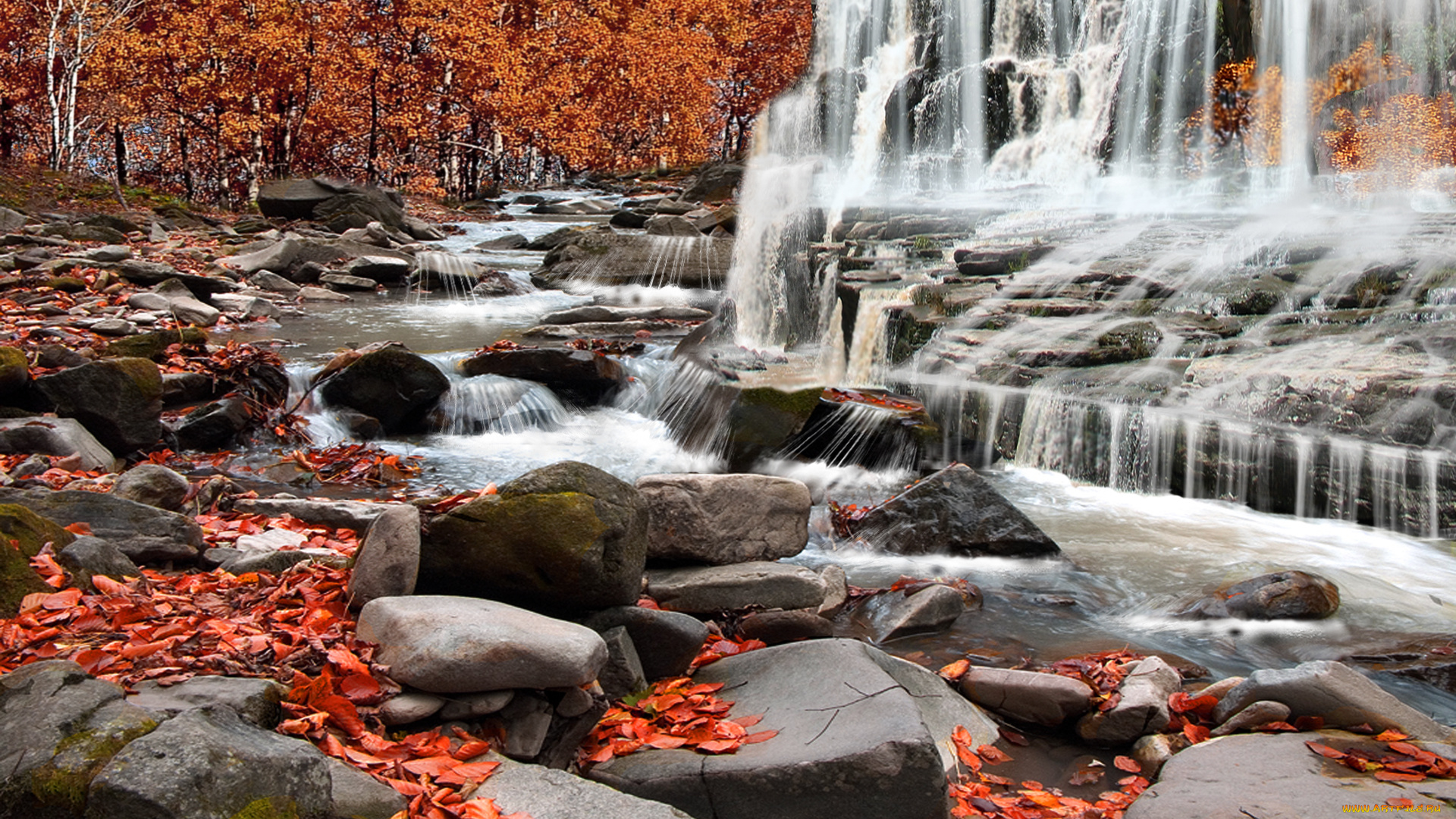 autumn, rapids, природа, водопады, осень, деревья, камни, листва, водопад