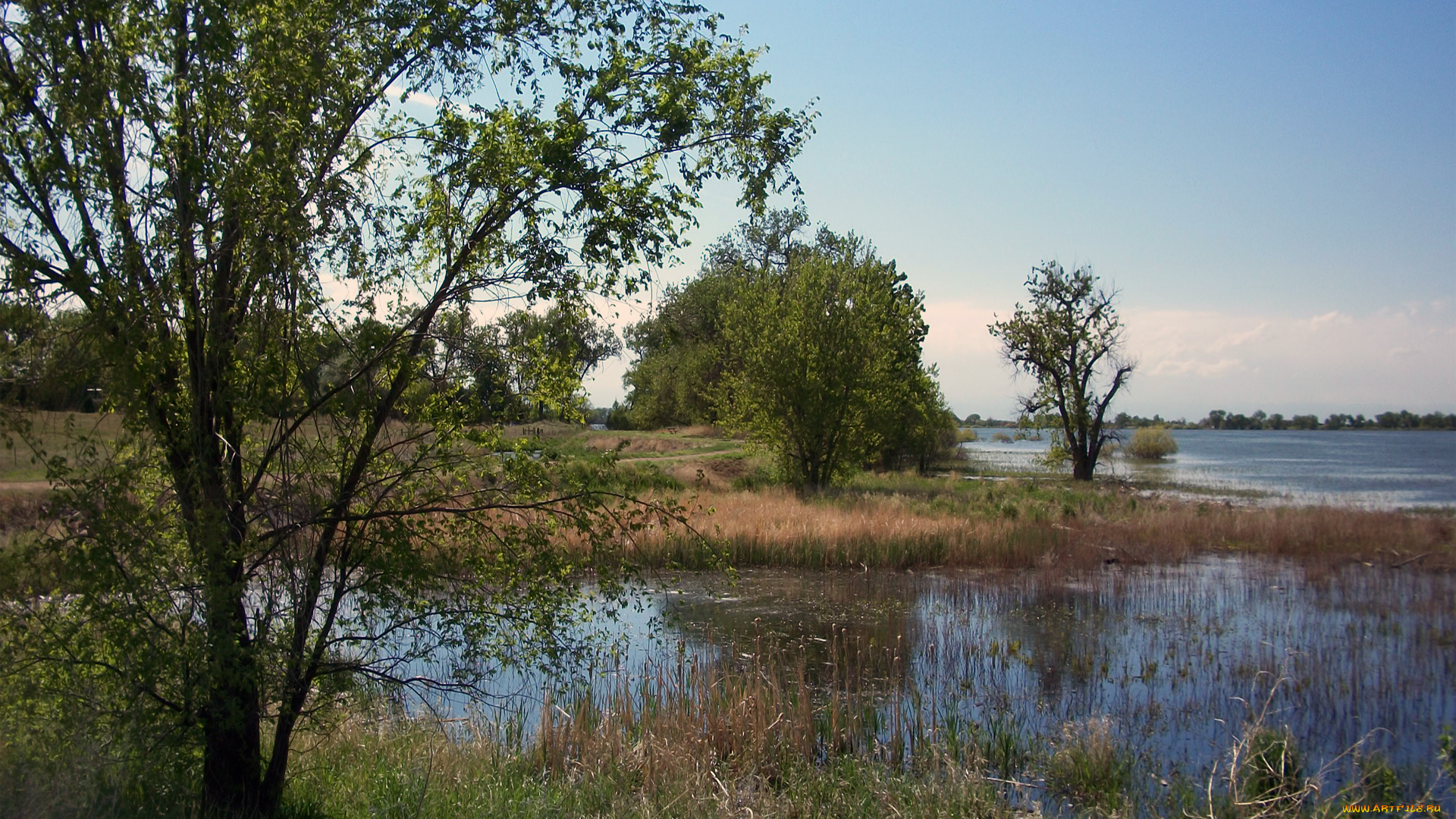 barr, lake, scenic, природа, реки, озера, трава, озеро, деревья